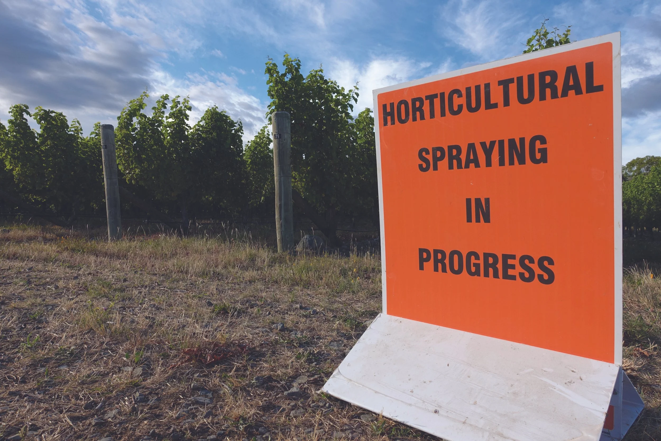 Reg approvals still wrapped in red tape