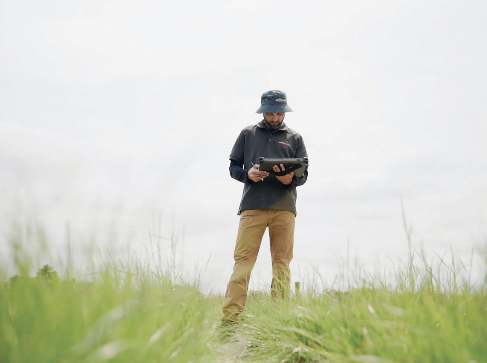 Long-shot research leads to pasture success