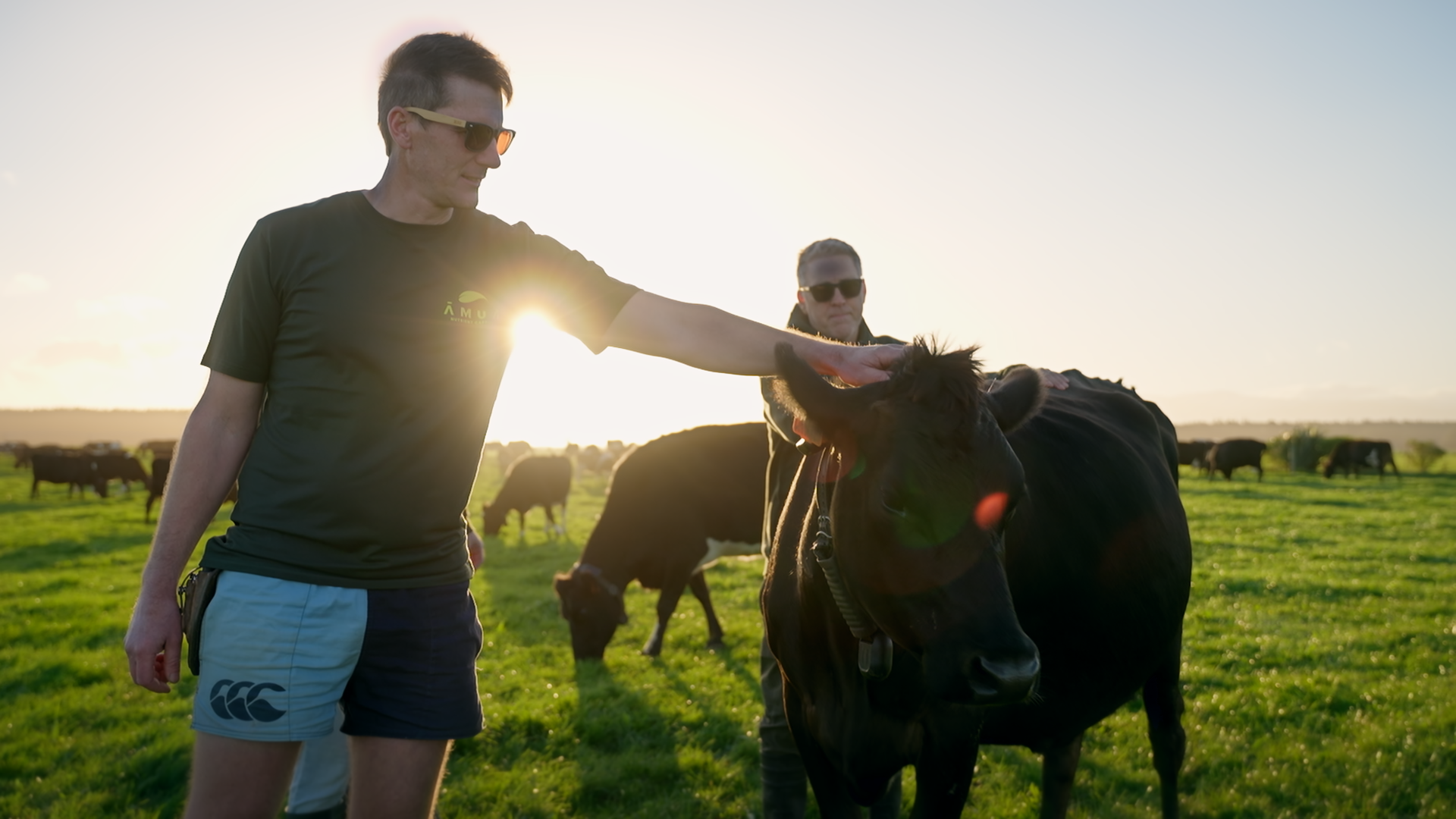 ‘Brilliant’ example of Kiwi ingenuity backed for further development