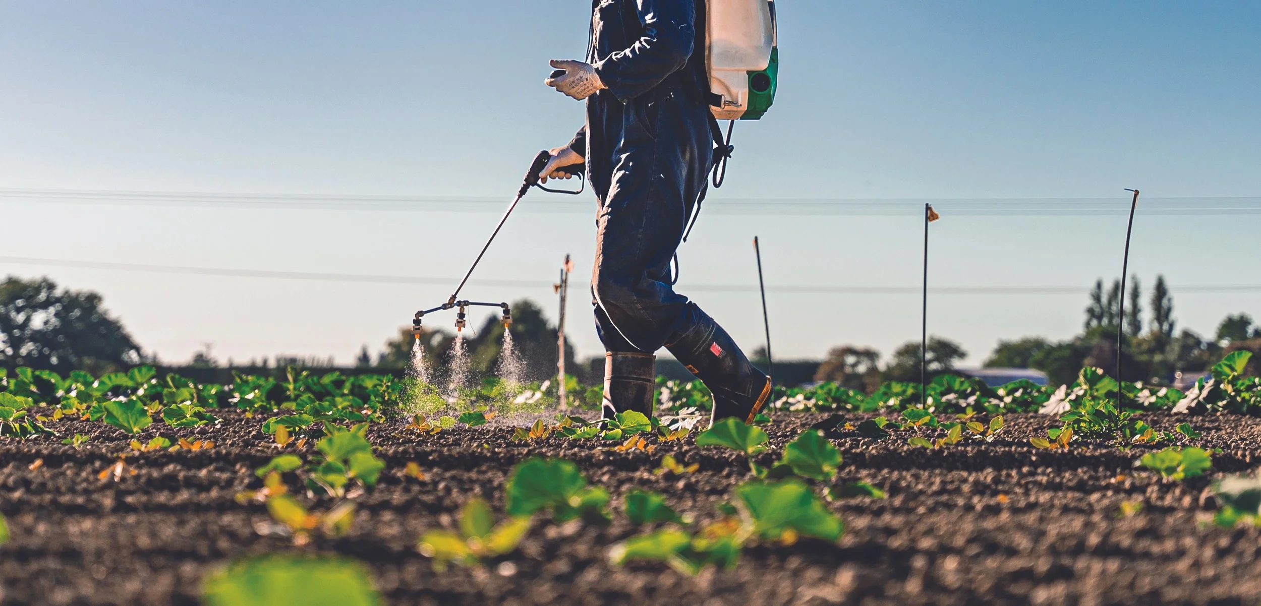 Dozens of potential new tools under scrutiny