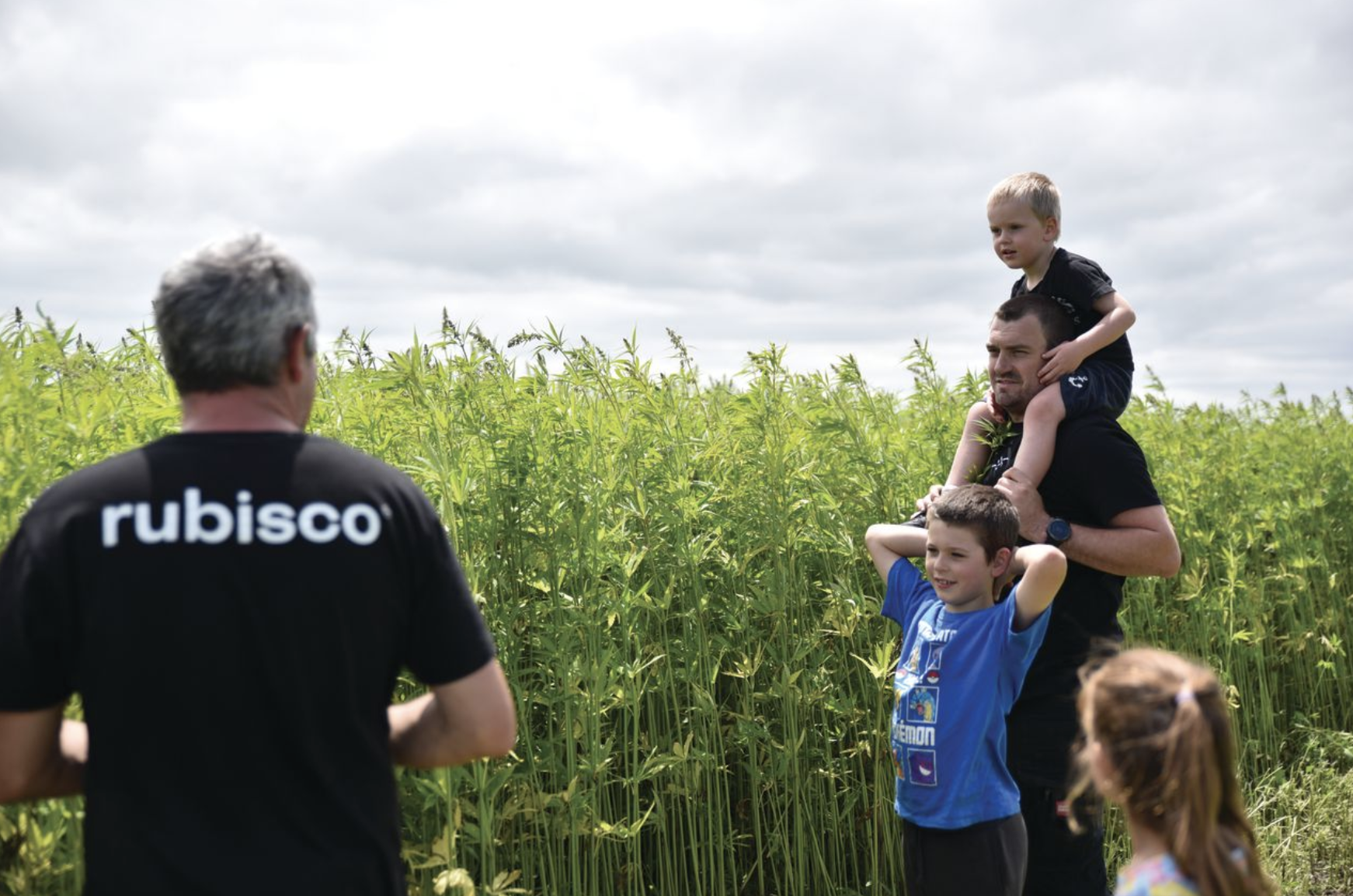 Green shoots abound for sustainable fibre specialist