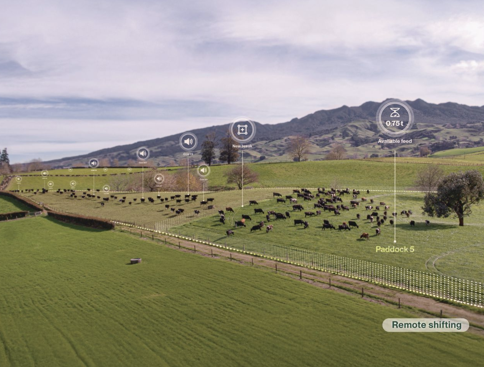 Virtual grazing equals profit for NZ farmers