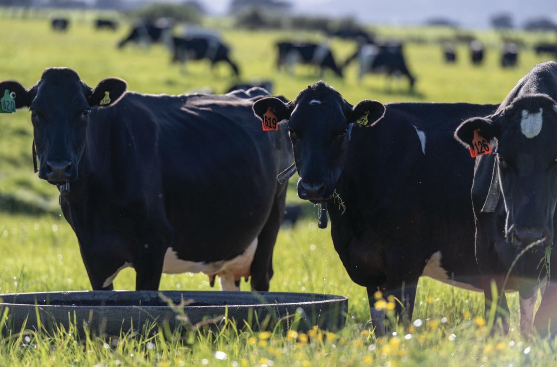 Next-gen nutrient tech set to unlock big farm savings