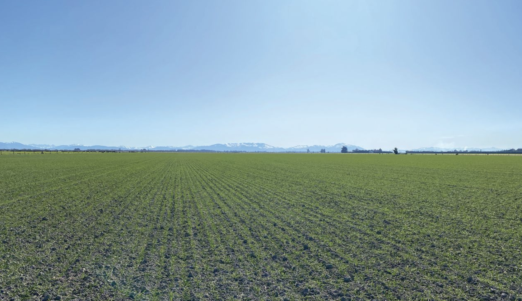 Unique herbicide breaks new ground