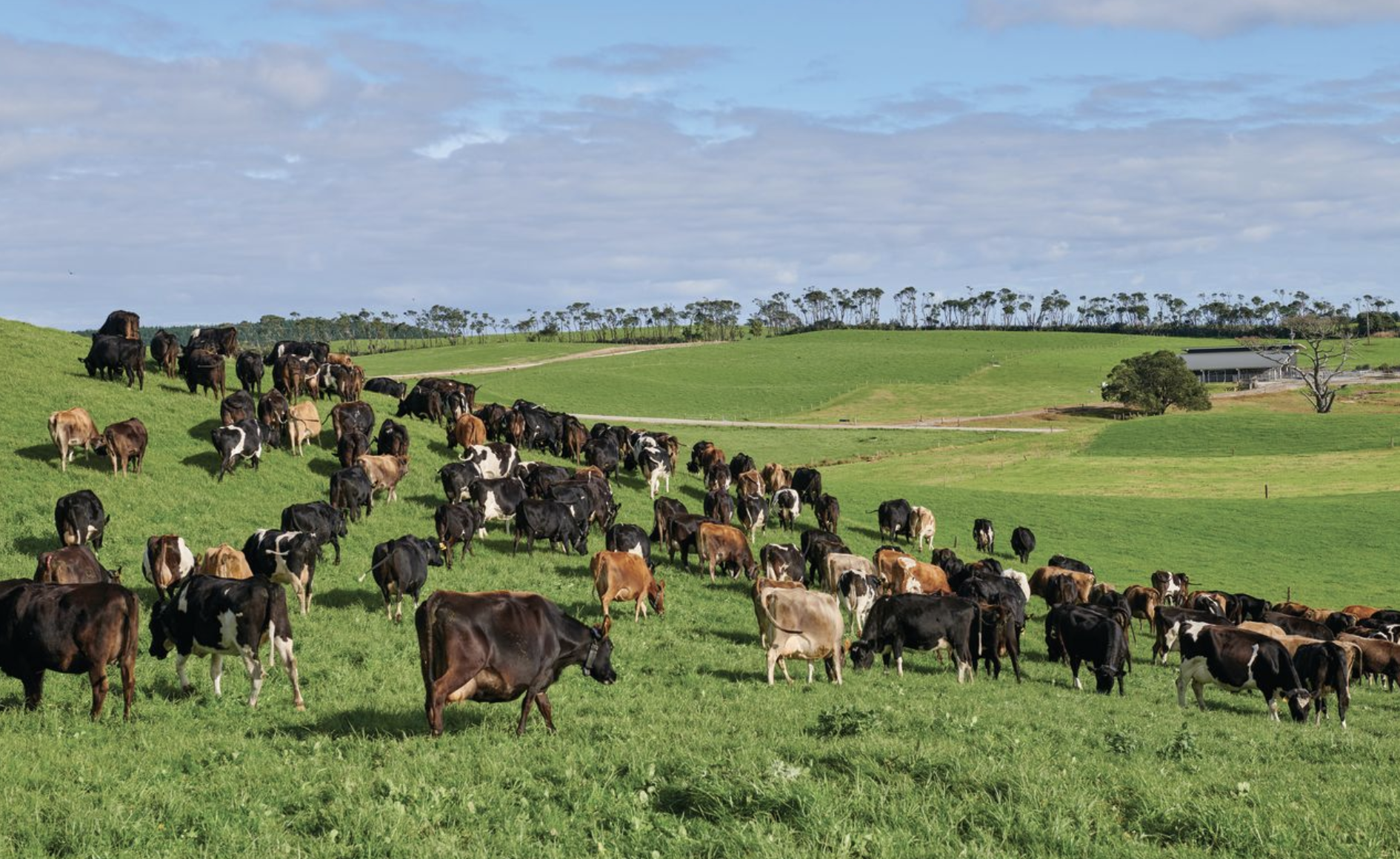 Heat stress research gains momentum