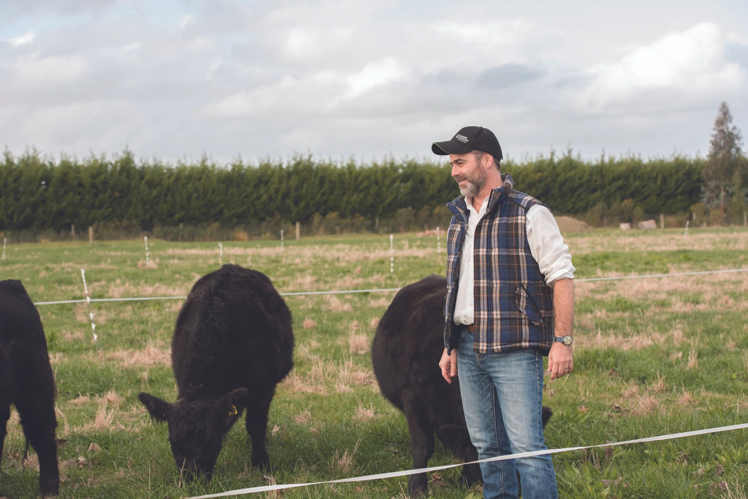 Multispecies grazing shifts milk chemistry in Canterbury