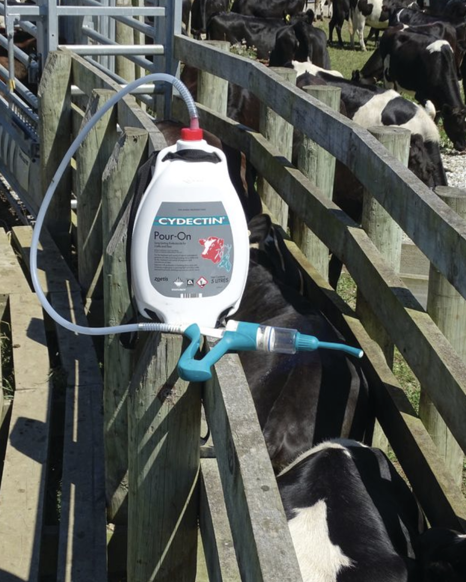 Tackling the late season spike in worm larvae