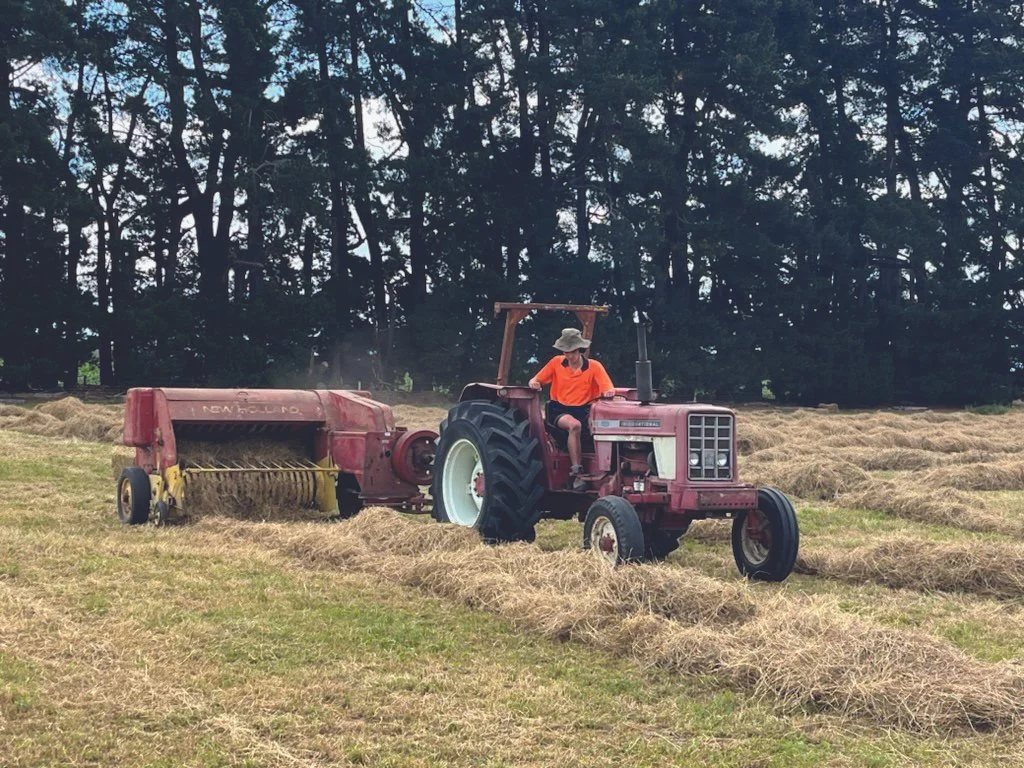 Strong future ahead for passionate young farmer