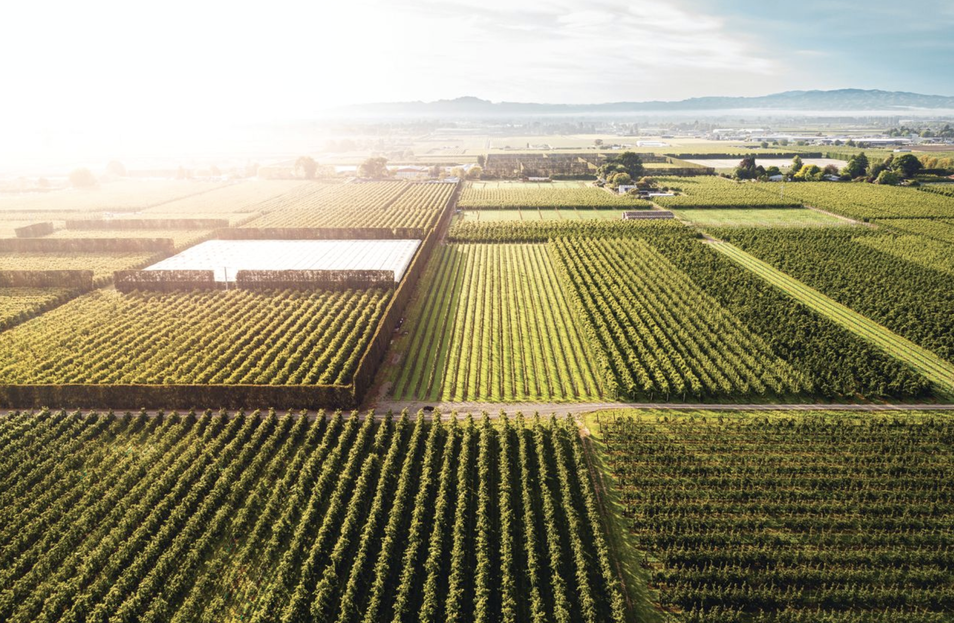 NZ-based innovation, product development and manufacturing