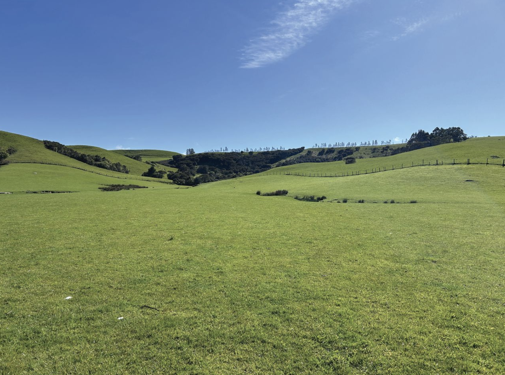 Clean paddocks prove commitment wins