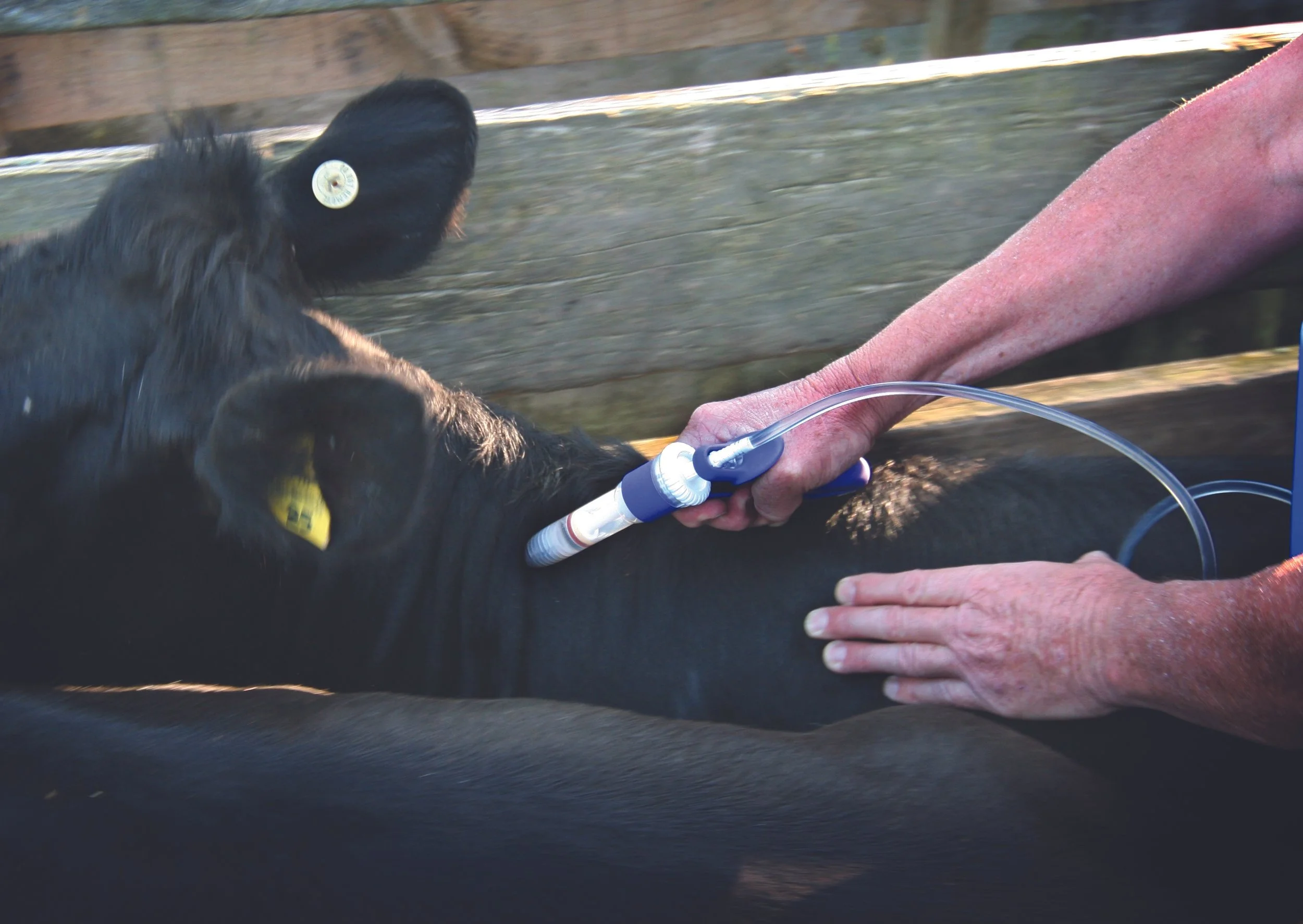 Pilot looks to smooth way for ag innovations
