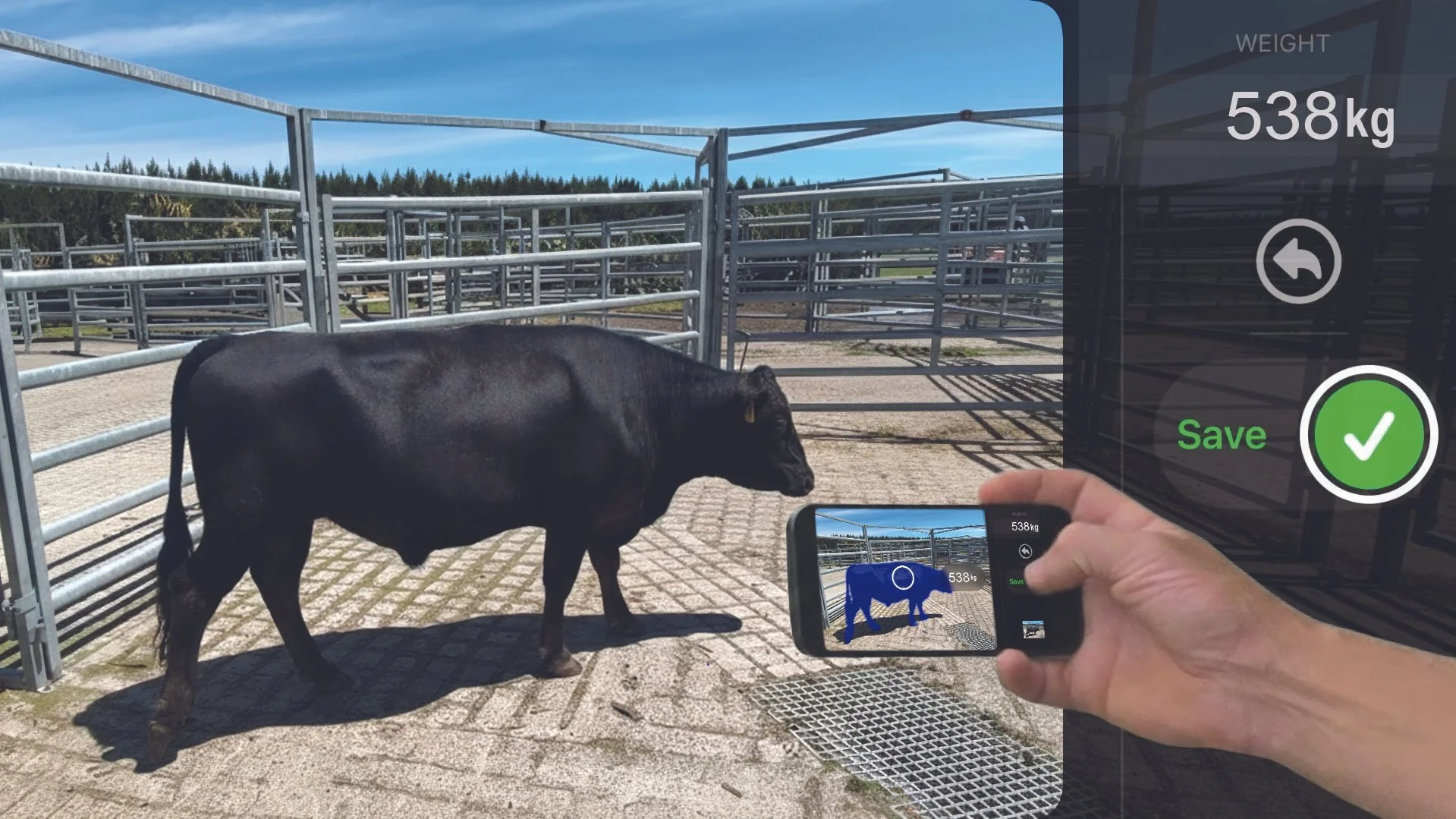 Smart weighing lands on farms