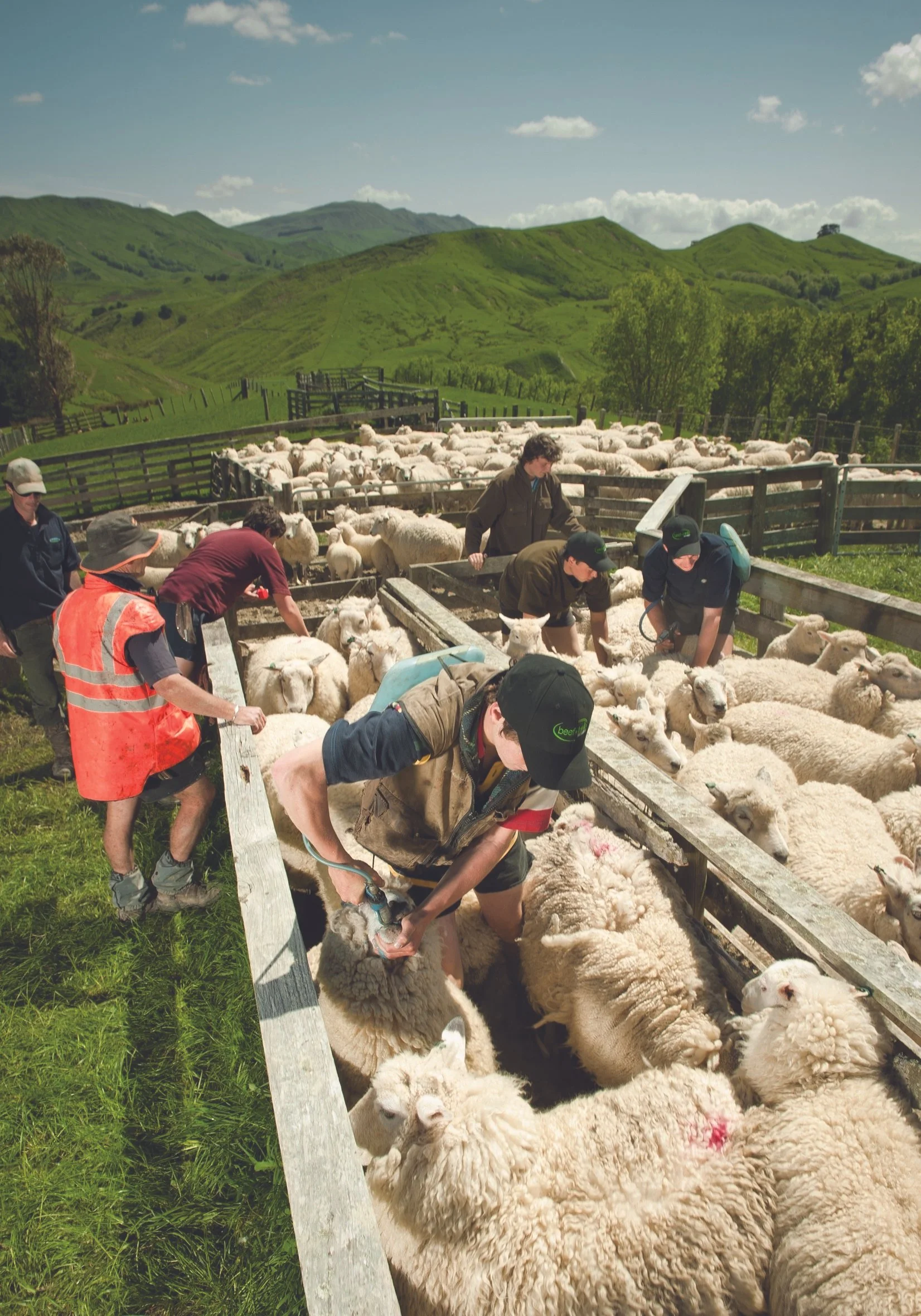 Red meat backing boosts future leaders