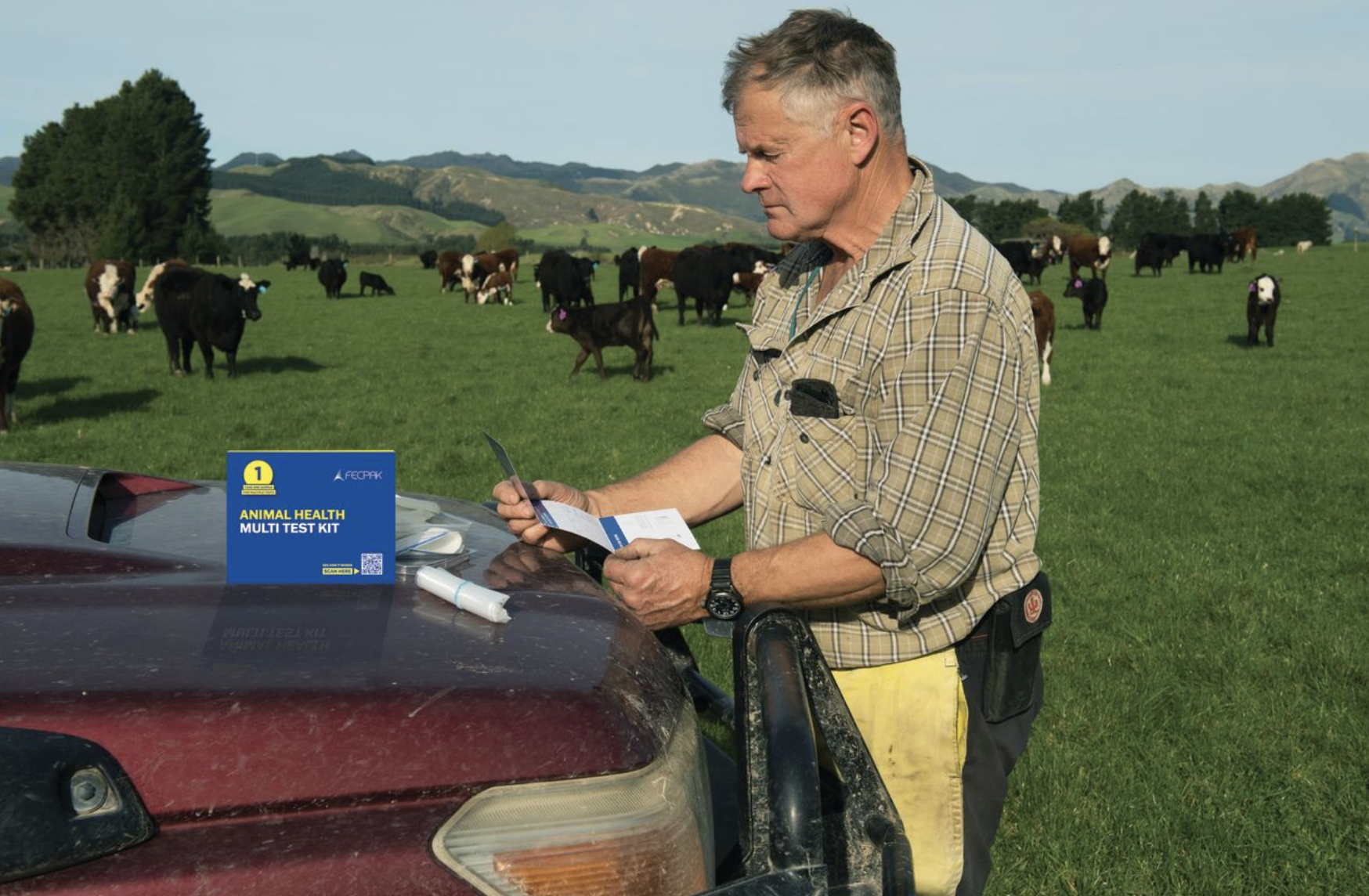 Surprising parasite levels found in West Otago cattle