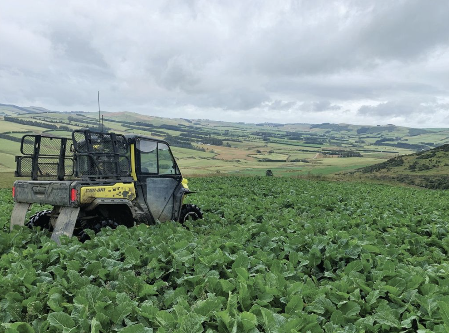 Chemical safety blind spots found on farms nationwide