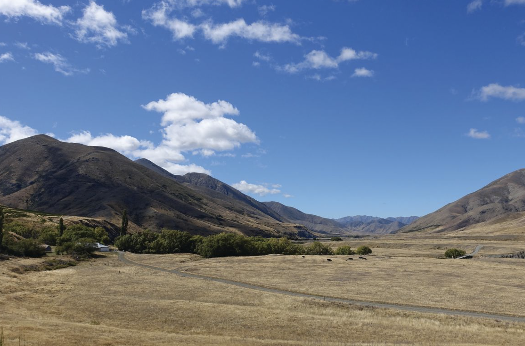 DOC cites financial security in Molesworth choice