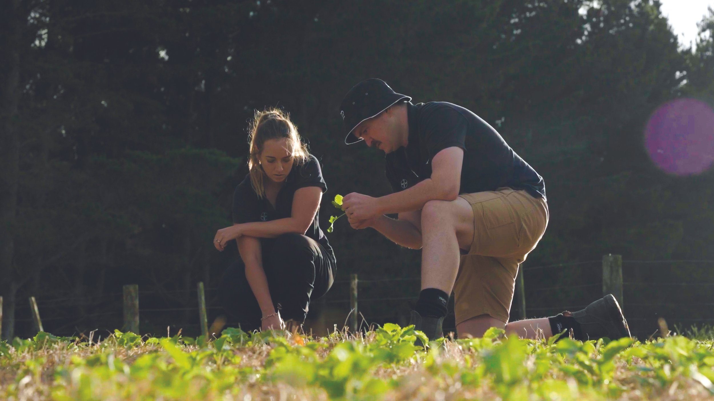 Label extension gives more time to stop crop pests