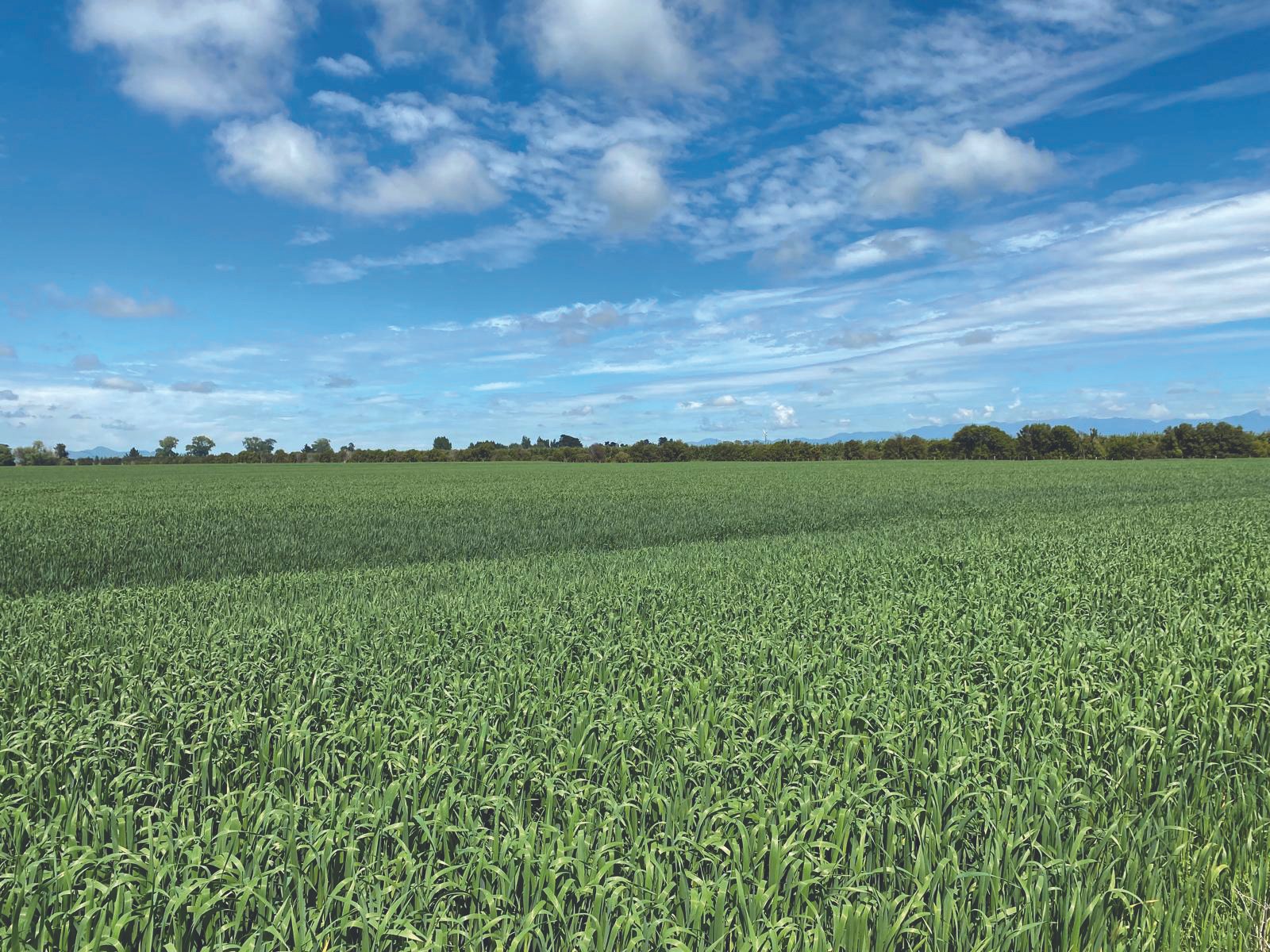 Farmer and contractor onboard with practical, consistent slug control