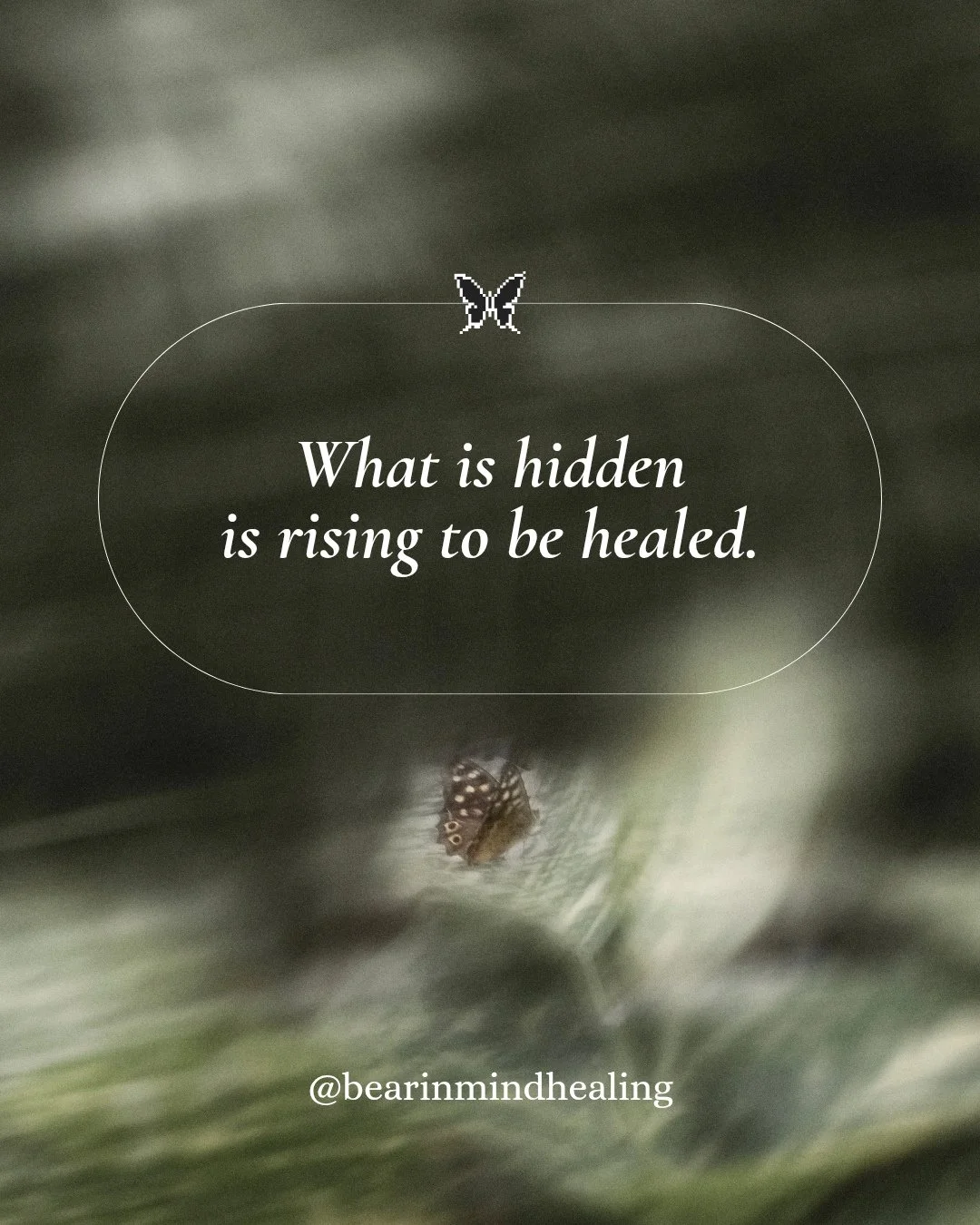 ⬇️Read Caption Below⬇️⁠
⁠
Lately it feels like a lot of darkness is being revealed, both personally and collectively.⁠
⁠
From a trauma-informed perspective, this is how healing begins.⁠
⁠
What is denied stays in the shadows.  What is acknowledged can