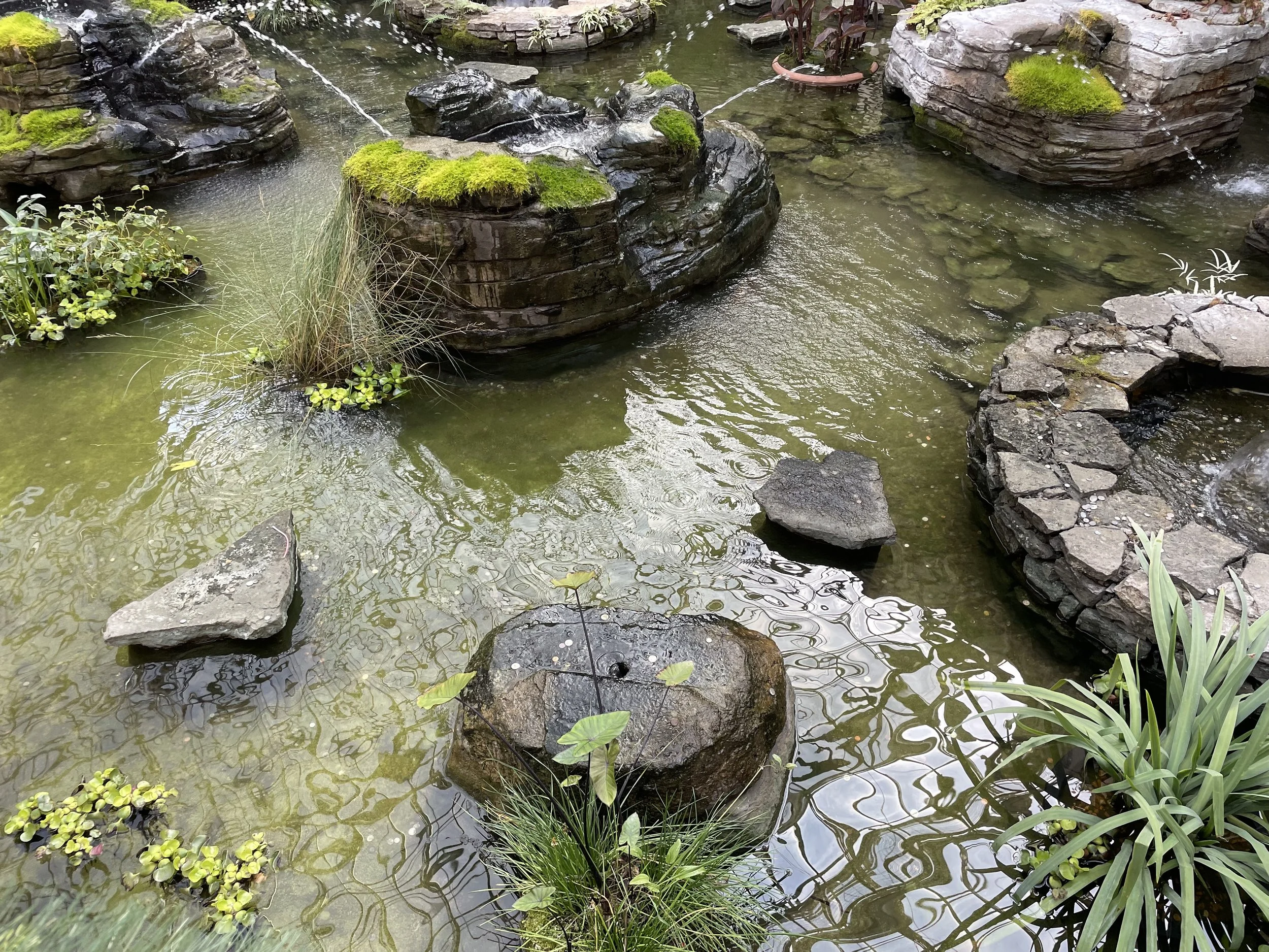 IMG_8032.jpeg