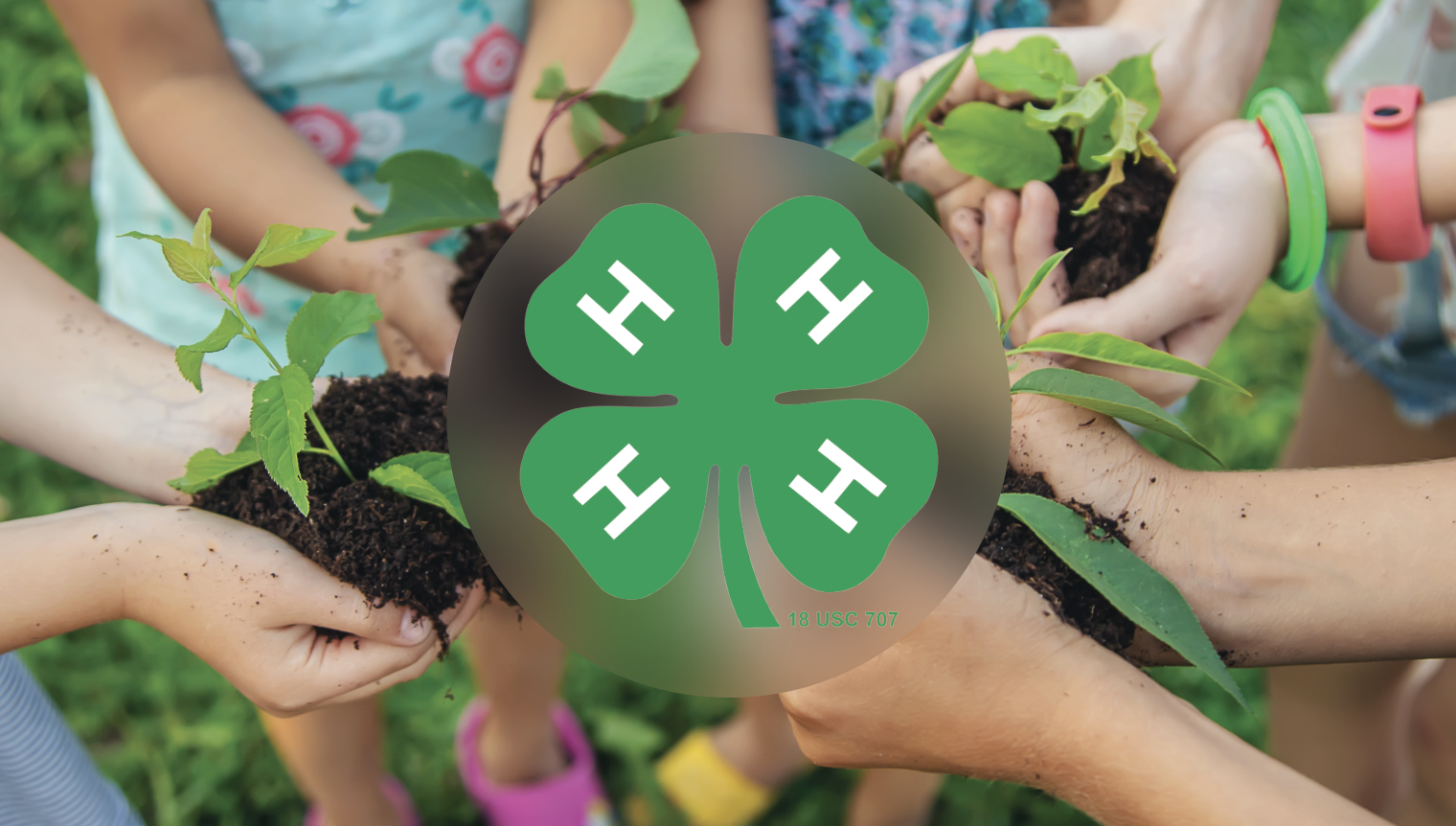 Double-sided Front of Template - 4-H Club 