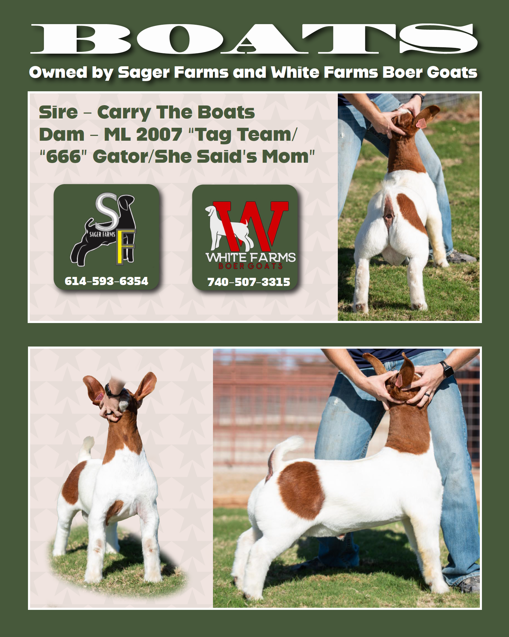 Optional Flyer Design 2
