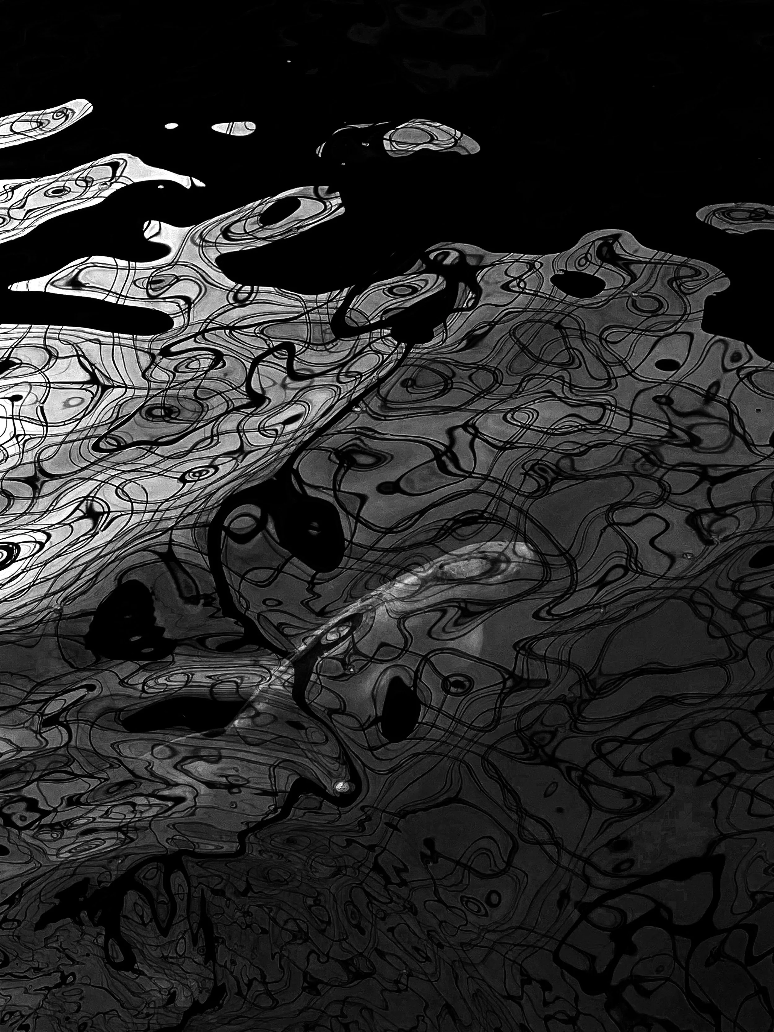 B:W Fish 2.jpg