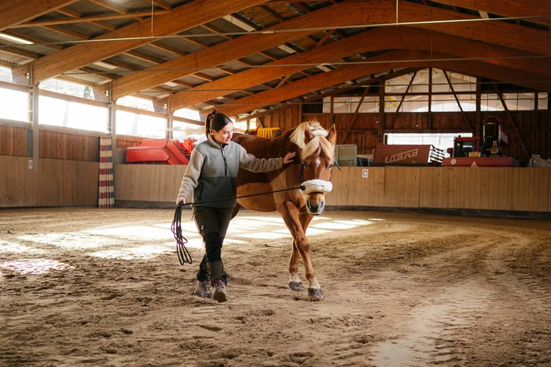 Eine Frau führt einen braunen Pony in einer Reithalle, während sie es streichelt.