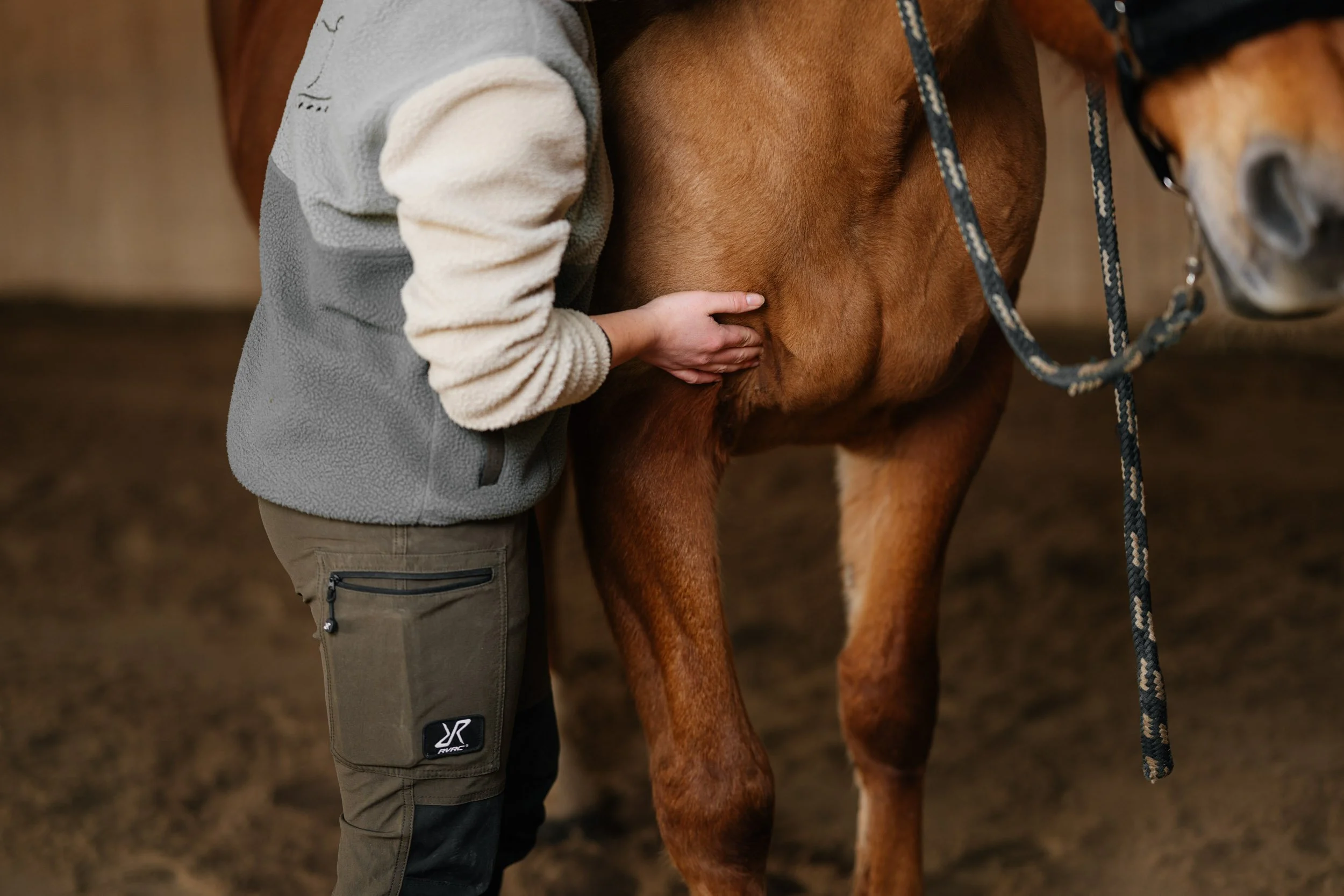 Person, der an einem braunen Pferd auf einem Reitplatz vorbeischaut.