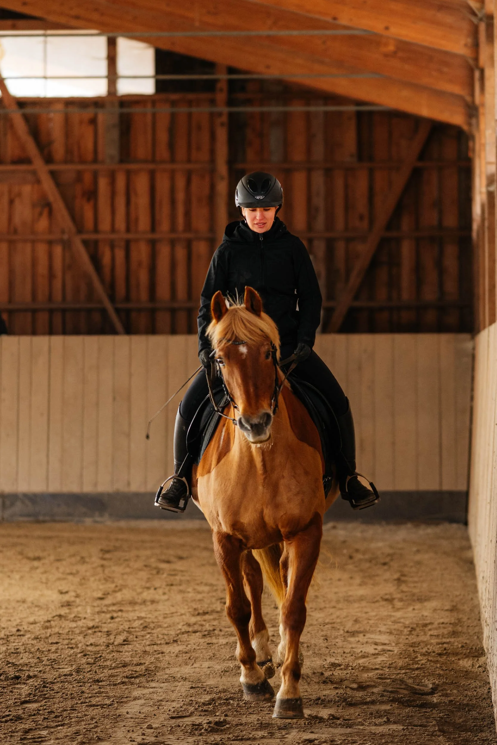 Ein Mädchen reitet auf einem braunen Pferd in einer Indoor-Reithalle, beide tragen Reithelme und dunkle Kleidung.