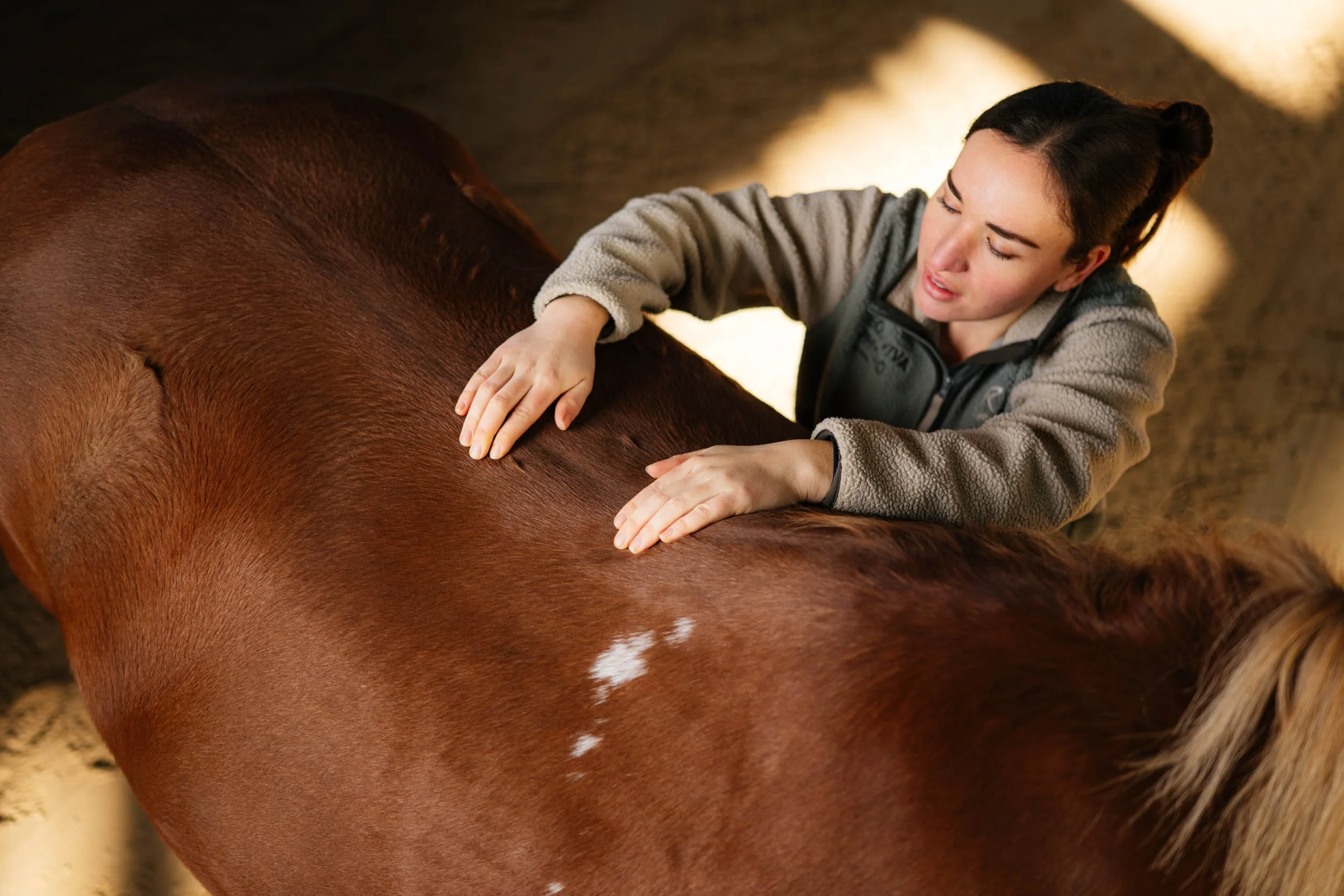 Frau massiert die Rücken eines braunen Pferdes in einer Stallhalle.