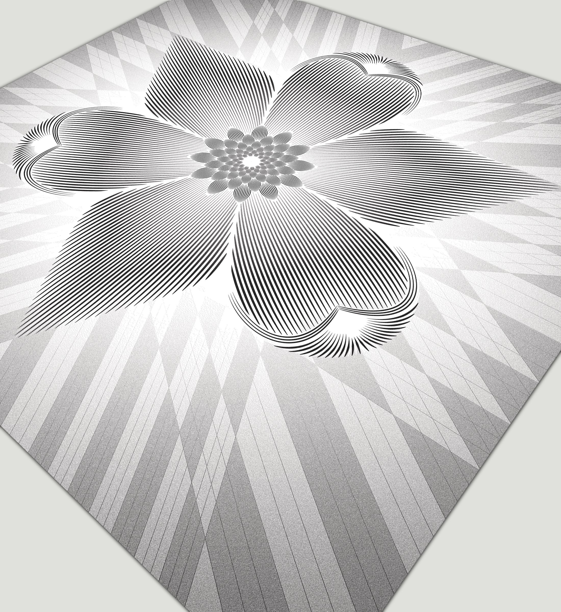 ANGEL-TIFF-ORCHID-ON-GRAY-2400.jpg