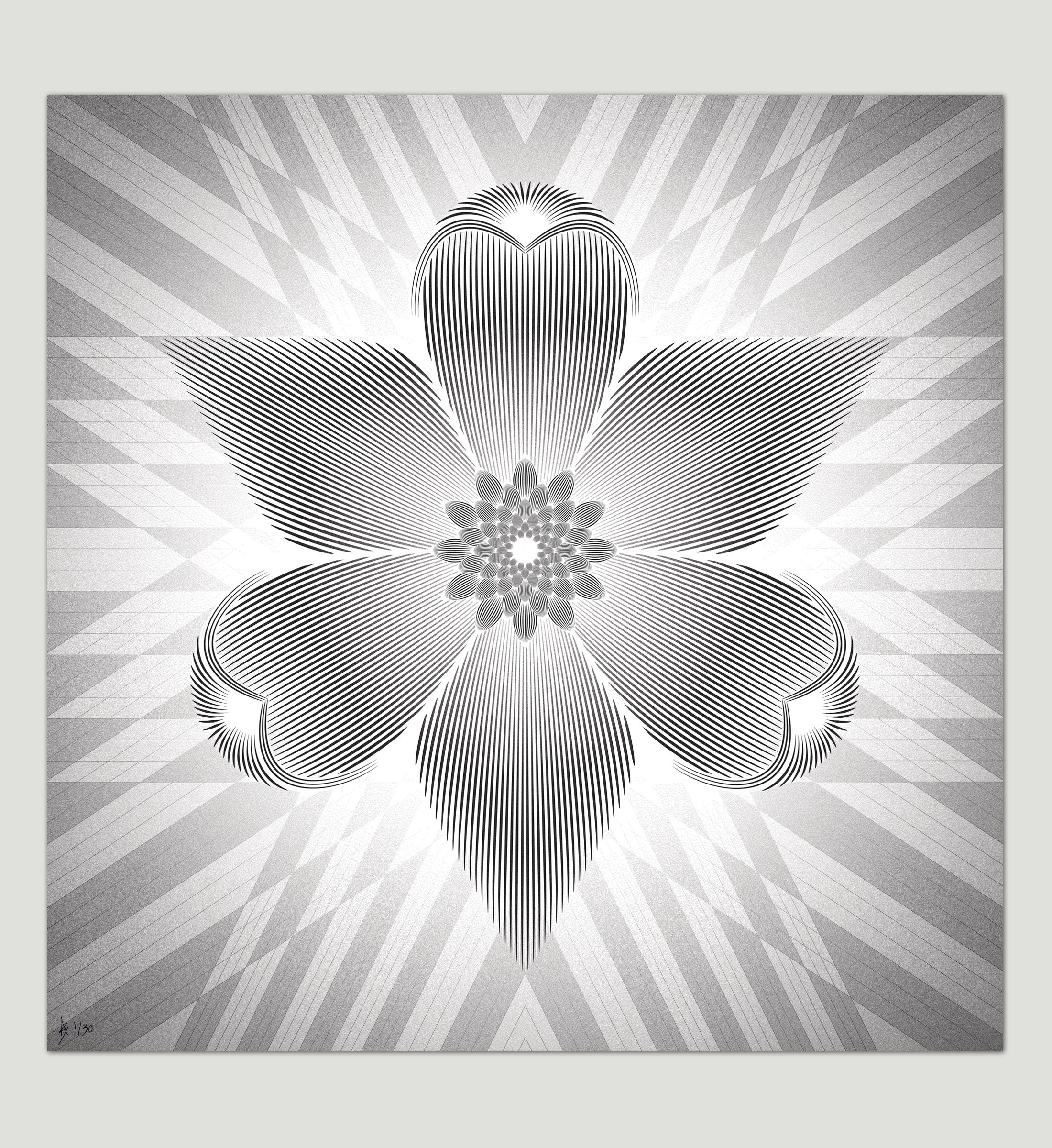 tiff-orchid-flat-on-gray.jpg