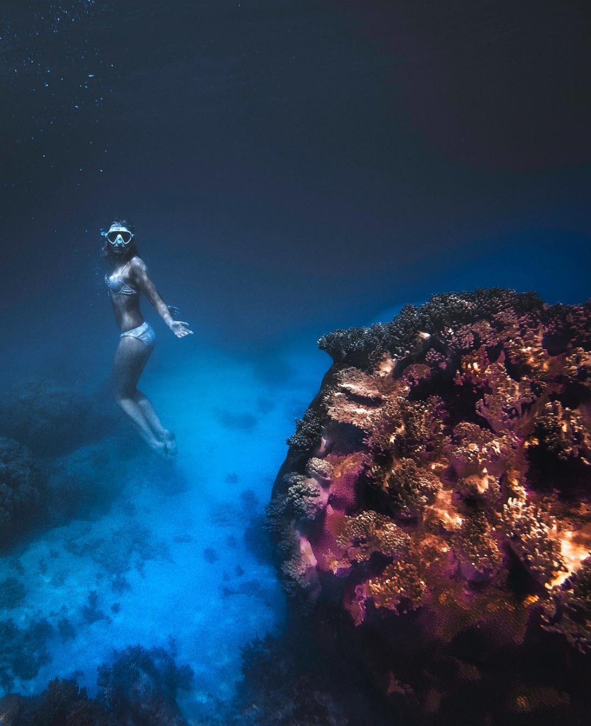underwater-reef.jpeg