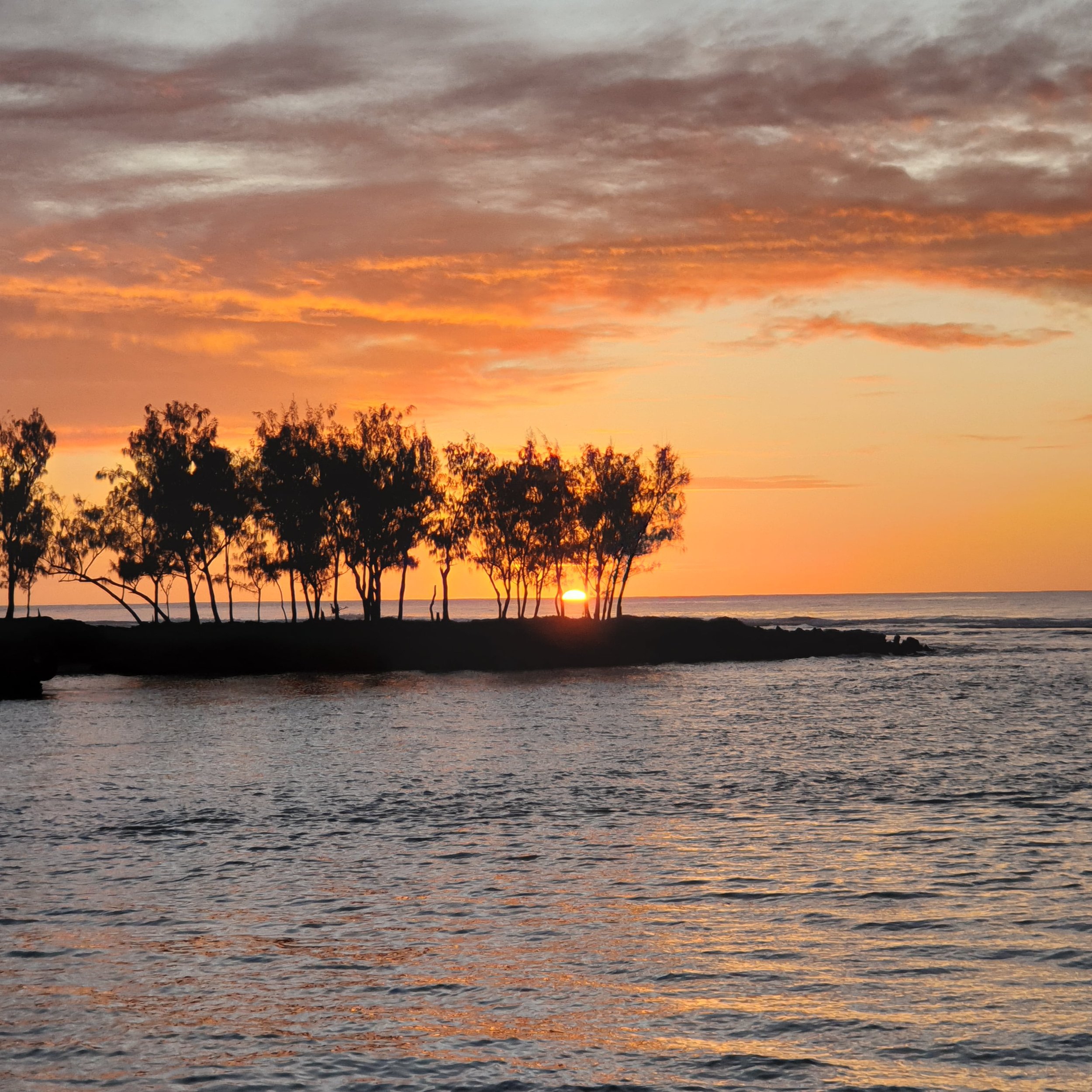 sunet-tukukutuk-le-pavillon.jpeg