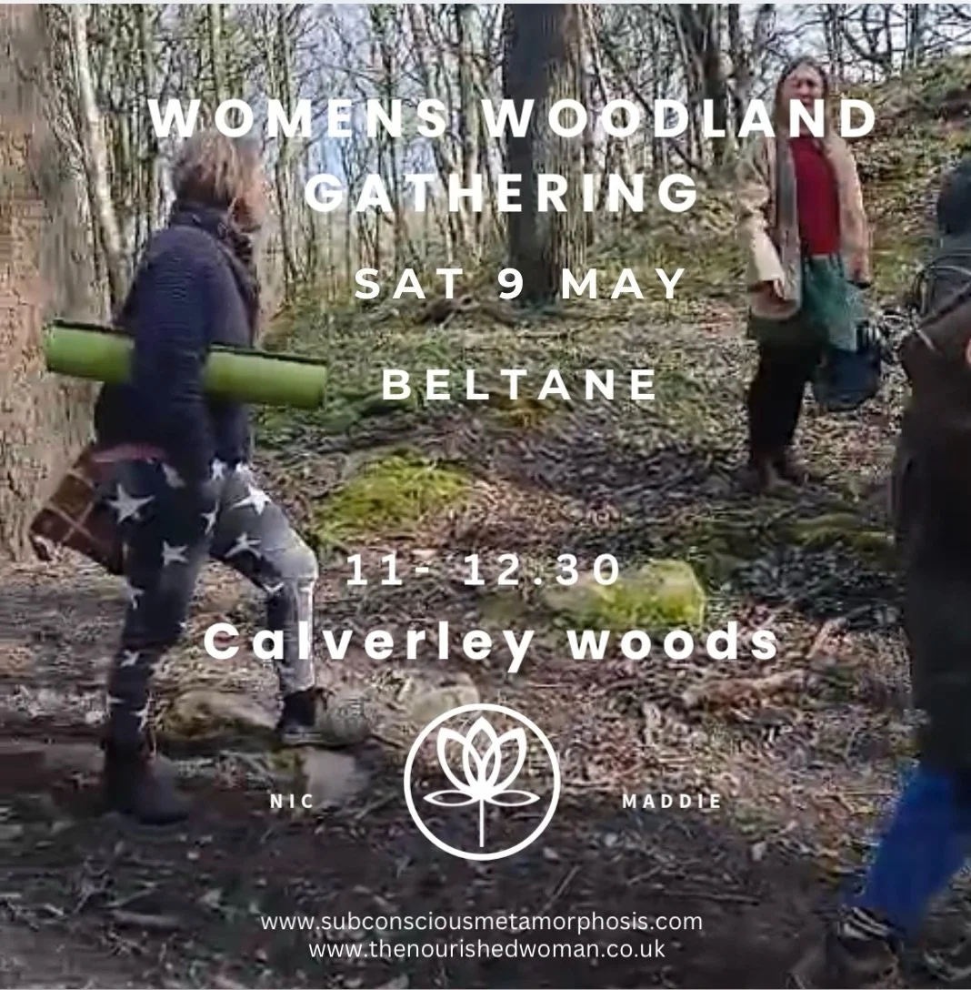 Monthly woodland gatherings 
Calverley woods 

It started with Maddie and I meeting up at each turning of the wheel. Separate weather, the same place in calverely woods 
The ritual of the walk in, the settling down in the same little area of ancient 