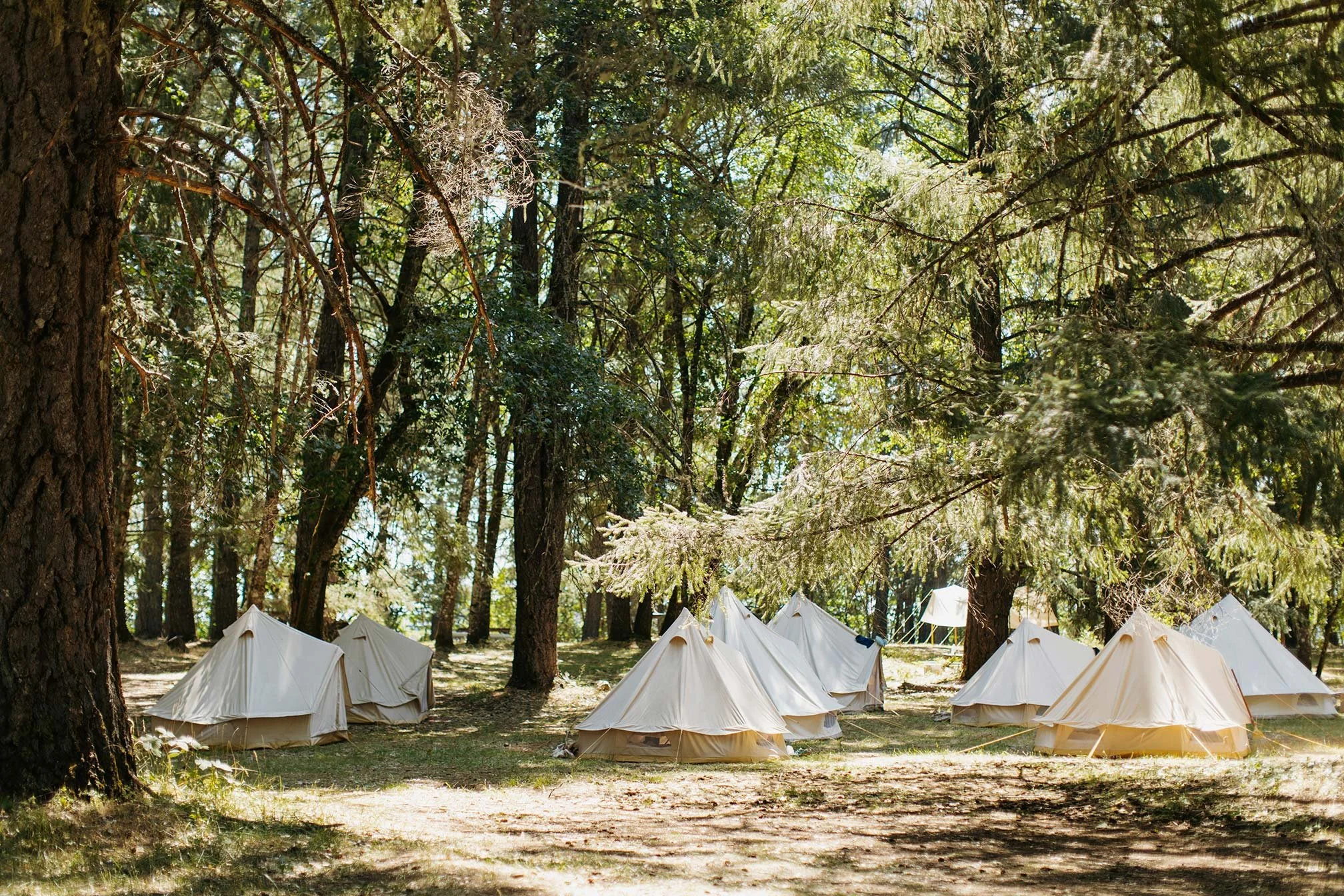 What It’s Like to Have a Camping Wedding in Oregon