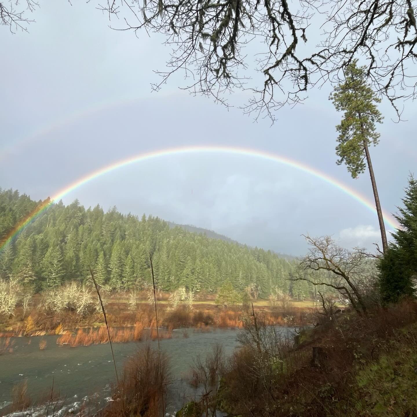 Enjoying all of the spring blossoms at Cedar Bloom. We&rsquo;re excited and welcoming more sunshine.  There river is warming up with each new day. Clear skies for star gazing, fresh water, slowing down and sleeping on the earth can be the best kind o