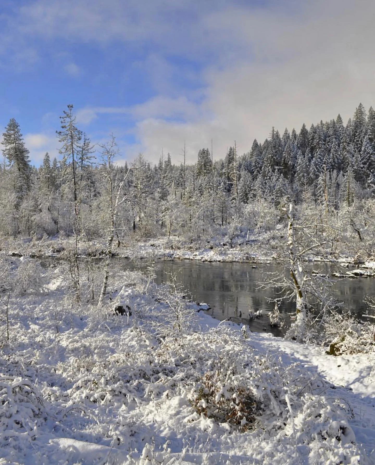 Thank you @bendmagazine for featuring Cedar Bloom in your winter escape issue! We don&rsquo;t have snow on the ground at the moment but these are some of our favorite winter photos from past seasons. If you need a winter getaway, both domes and our t