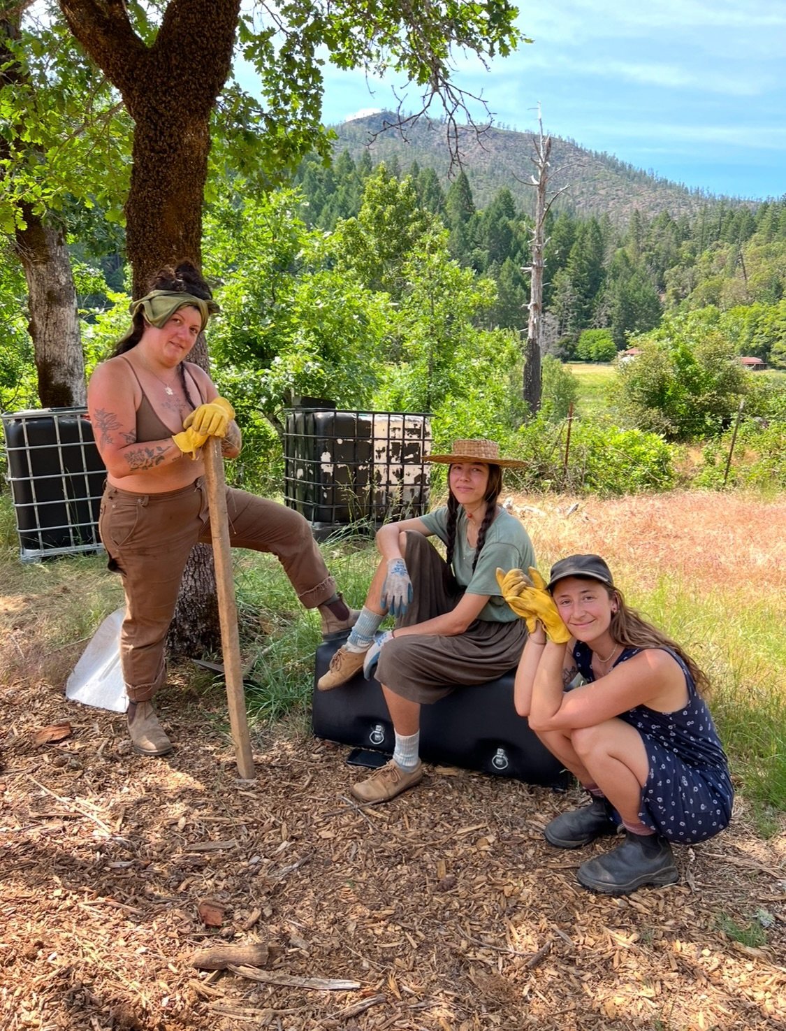 🌿 Cedar Bloom Spring and Summer Worktrade apps are now Open! 🌿
Spring is beginning to stir here on the land and we are opening applications for our Spring &amp; Summer Worktrade Season at Cedar Bloom.
Worktrade is a beautiful way to spend time on t