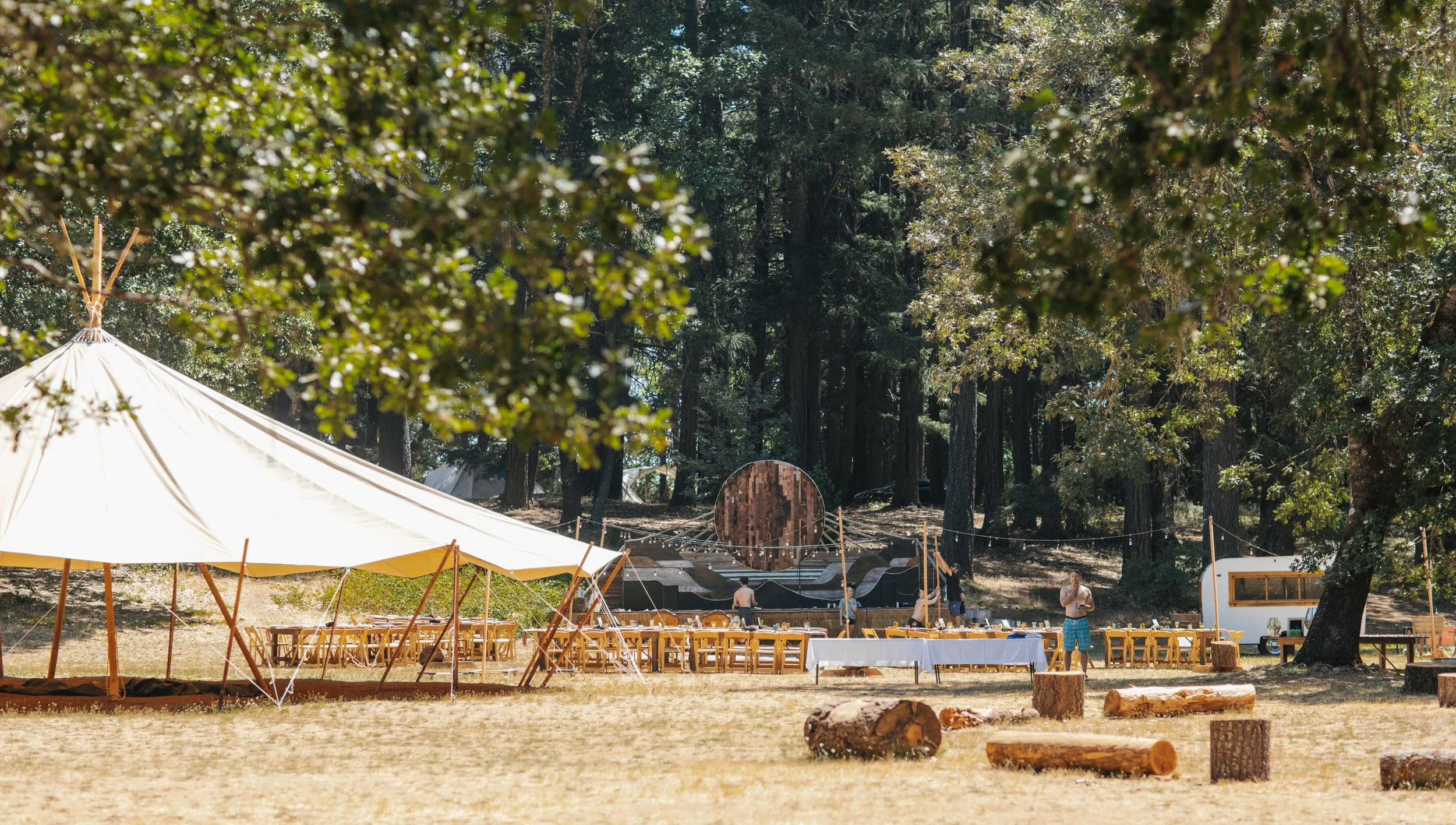 The Sensory Experience of an Oregon Forest Wedding