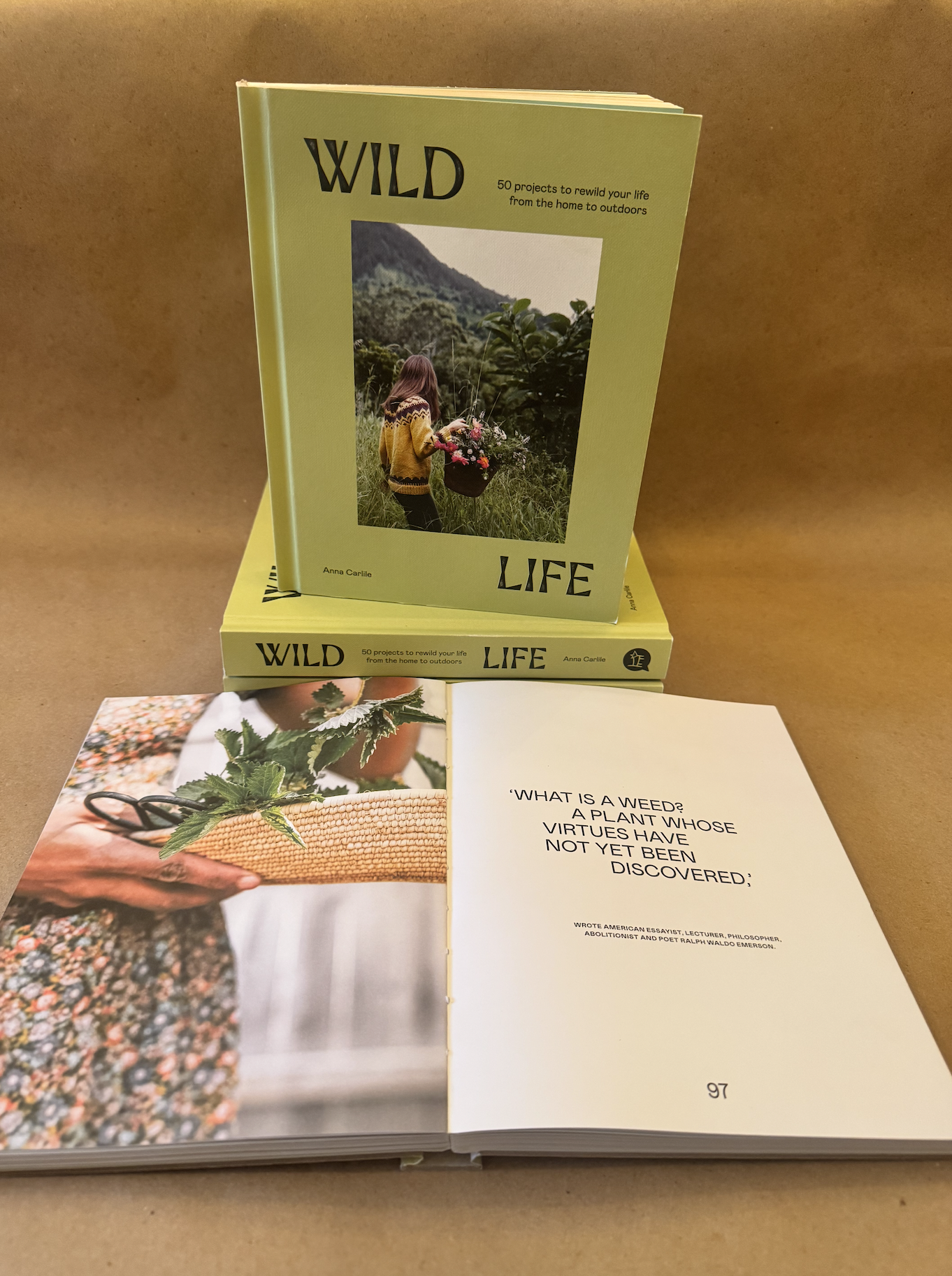 Screenshot 2025-12-20 at 12.03.26 PM.png