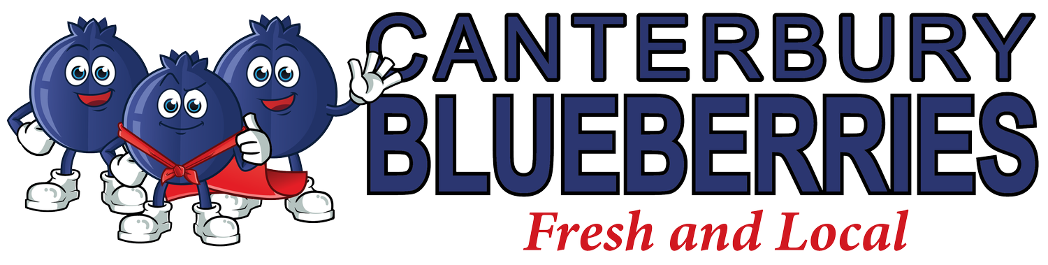 Canterbury Blueberries