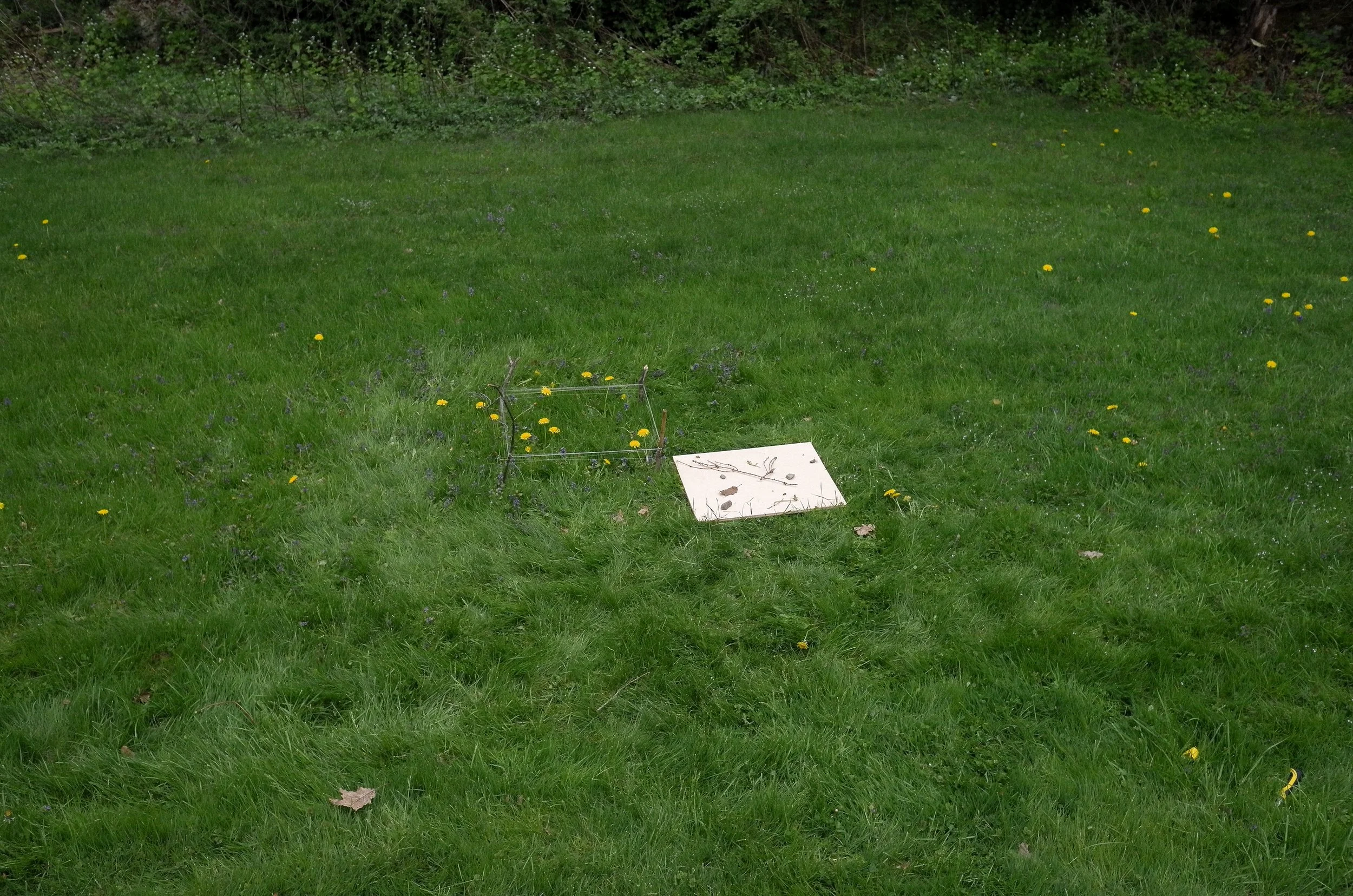 L1120445-2-2.jpg