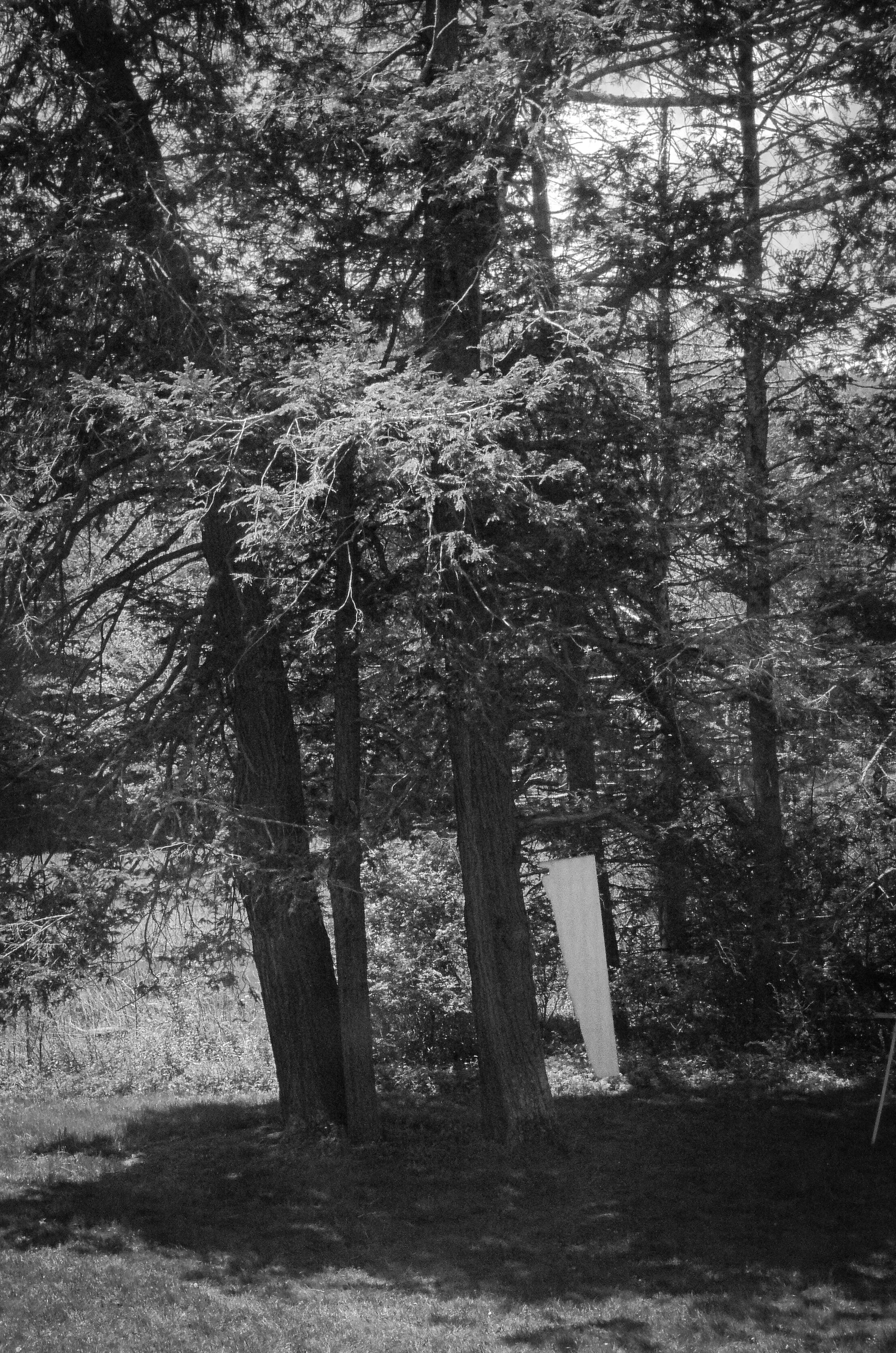 L1120471.jpg