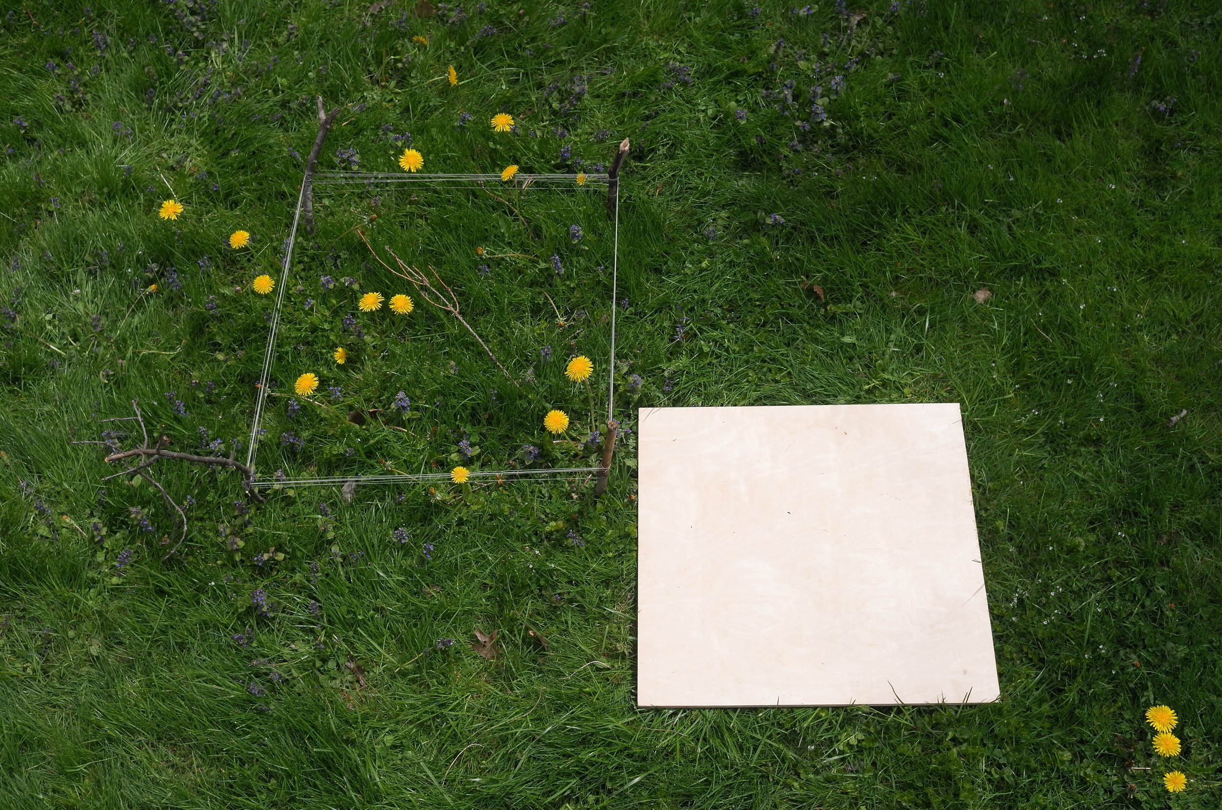 L1120393-2.jpg
