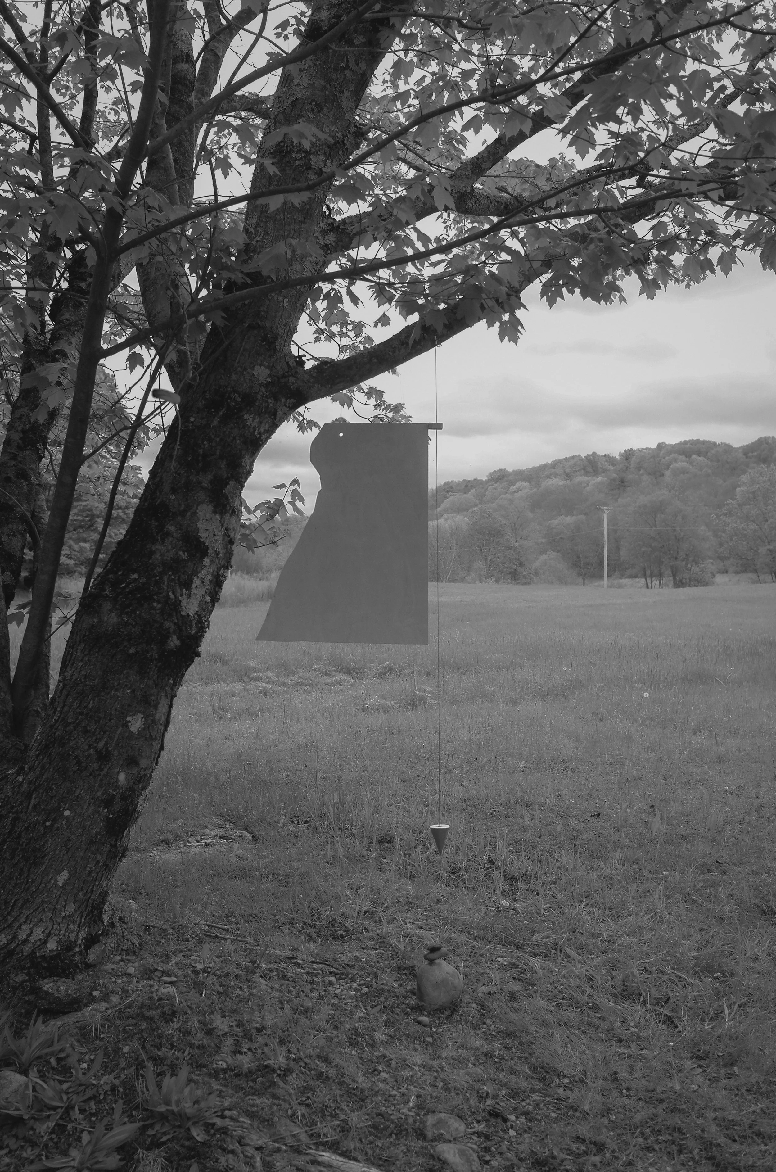L1120821.jpg