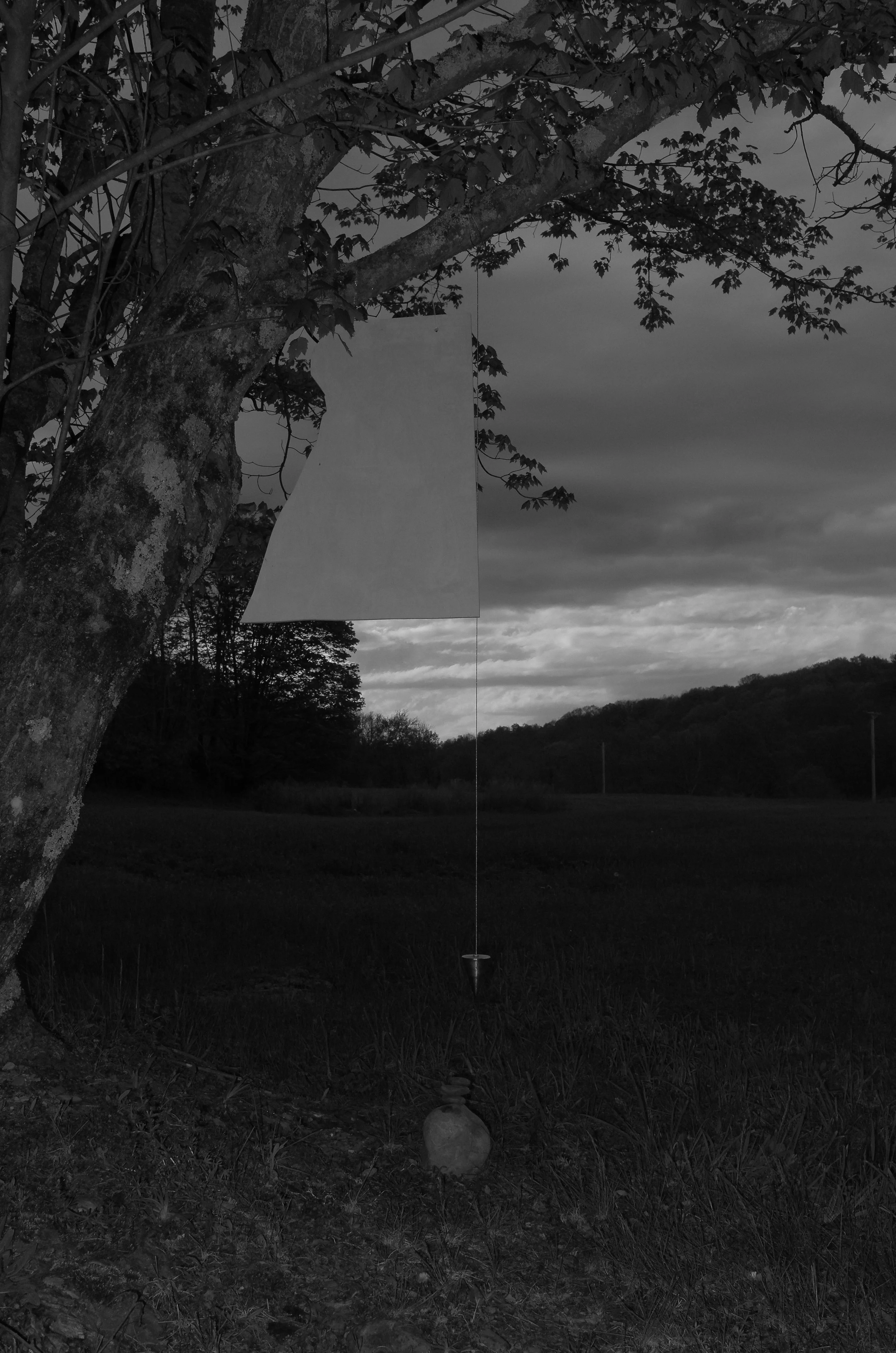 L1120335.jpg