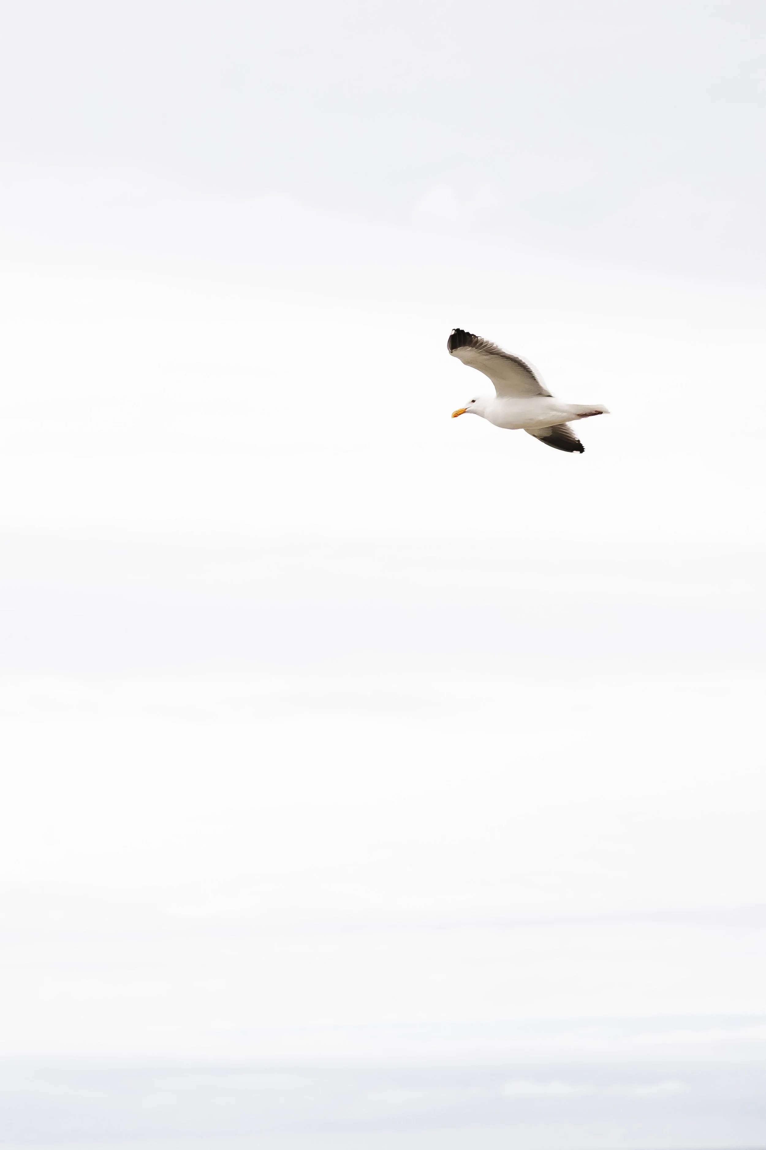257A7806.jpg