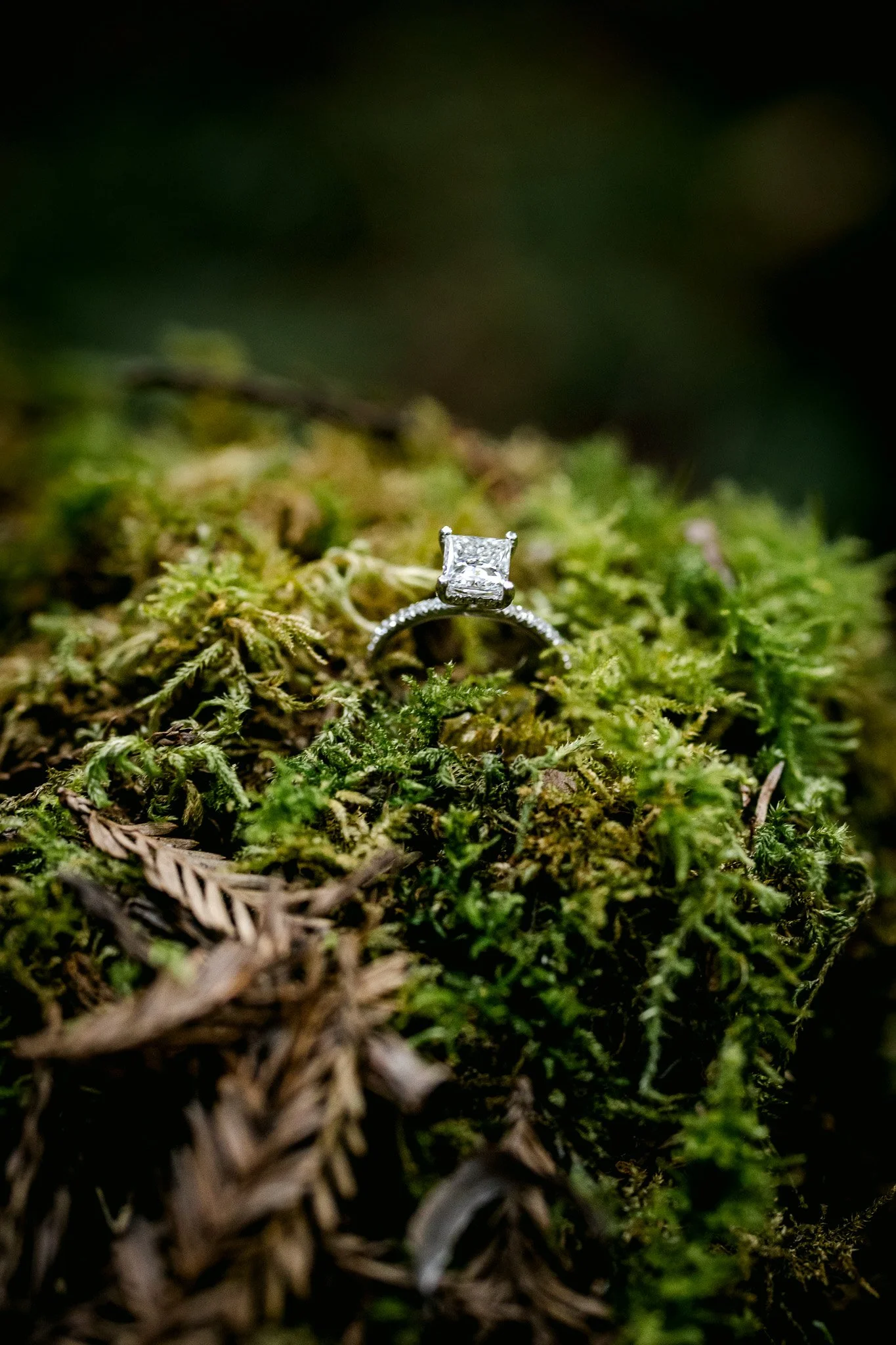 ring on the moss